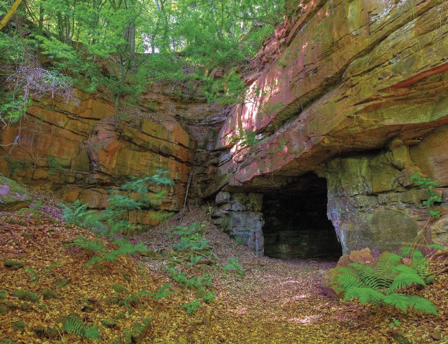 Eingang zu einer Höhle in einem bewaldeten Gebiet mit Felsen und Farnen.