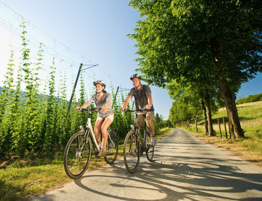 Zwei Radfahrer auf einem sonnigen Weg neben Hopfenfeldern, umgeben von grünen Bäumen.