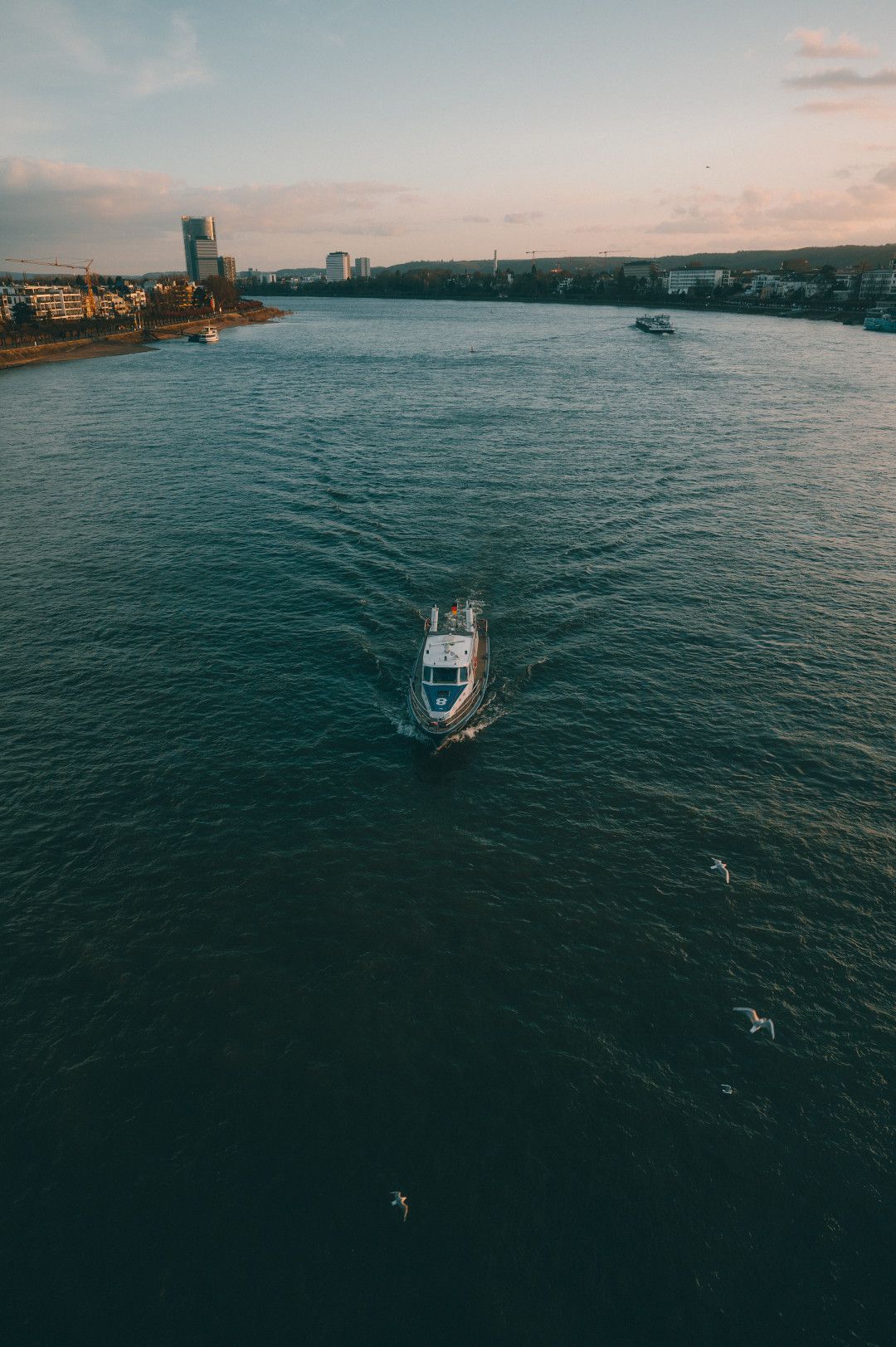 Ein Schiff fährt auf dem Rhein bei Bonn, umgeben von Wasser und Möwen, mit der Stadt im Hintergrund.