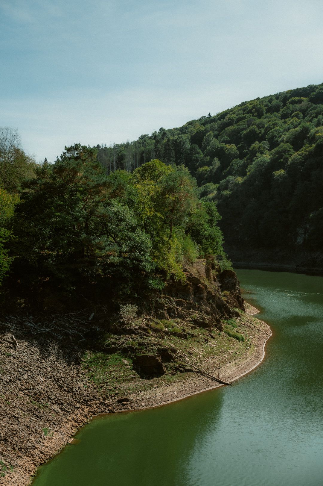 Das Ufer der Urfttalsperre in der Eifel zeigt bewaldete Hügel und einen geschwungenen Flusslauf unter klarem Himmel.