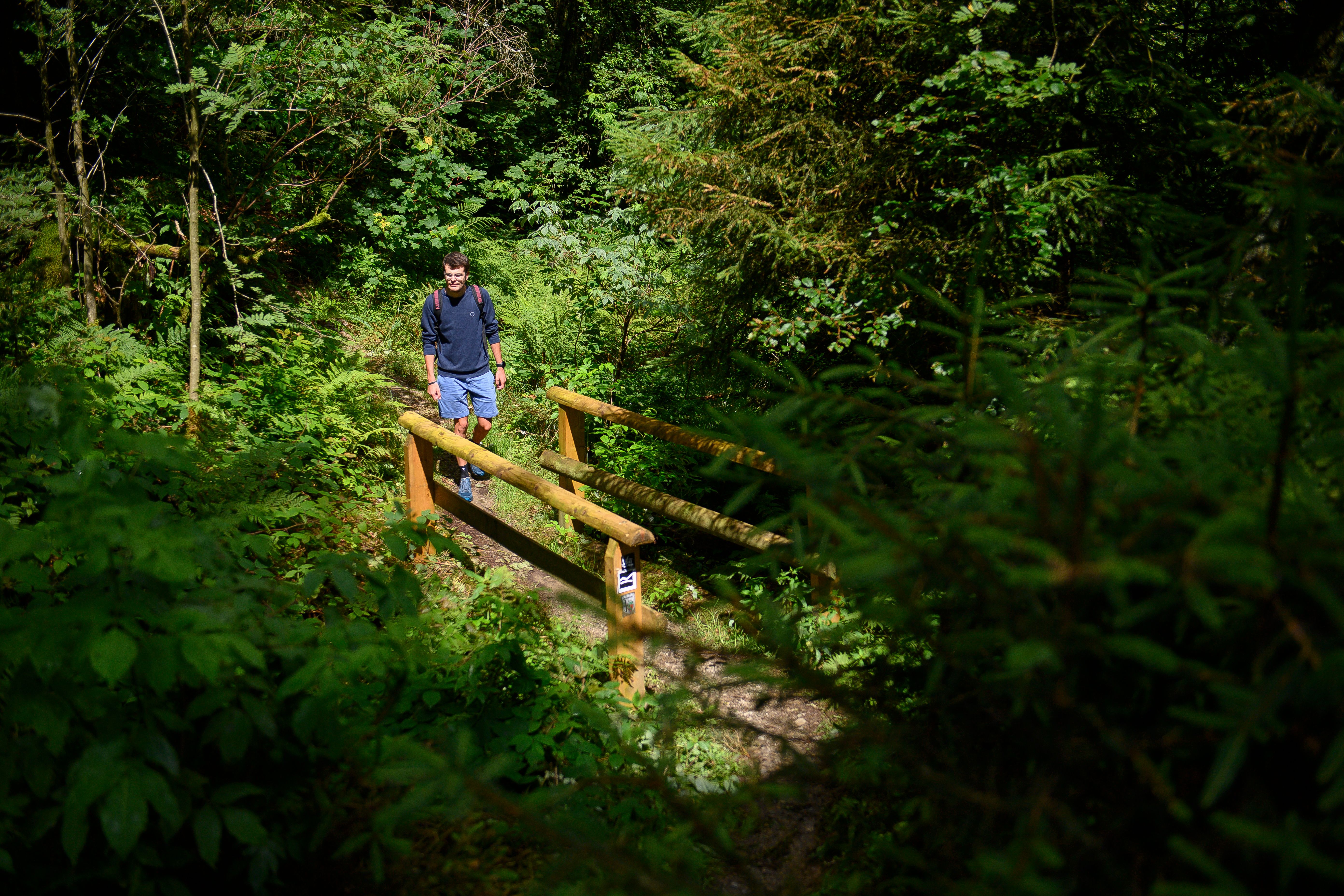 Ein Mann wandert auf einem schmalen Dorfpfad im Wald, überquert eine kleine Holzbrücke, umgeben von dichtem Grün.