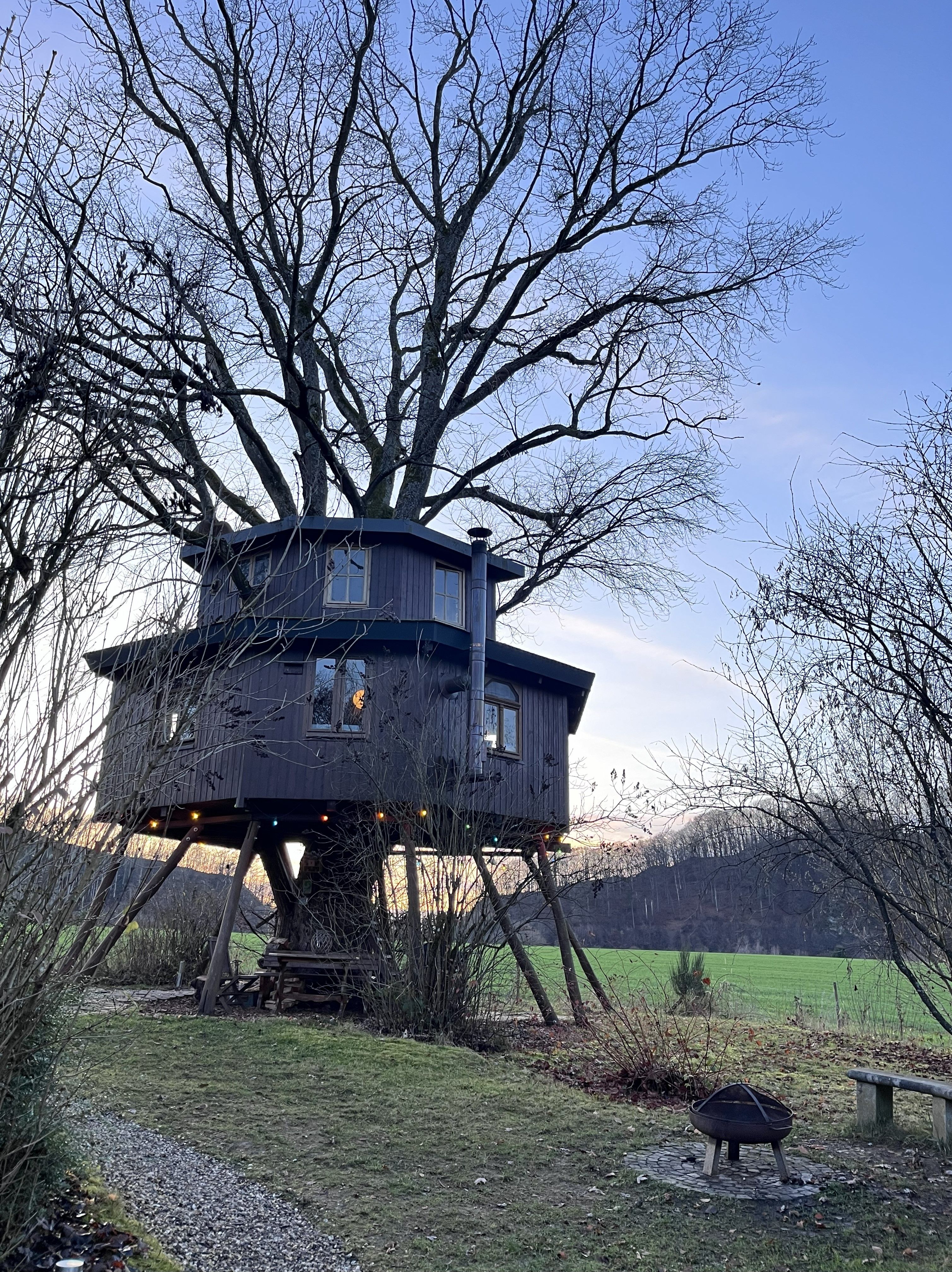  Baumhaus im winterlich-blattlosen Ahorn  