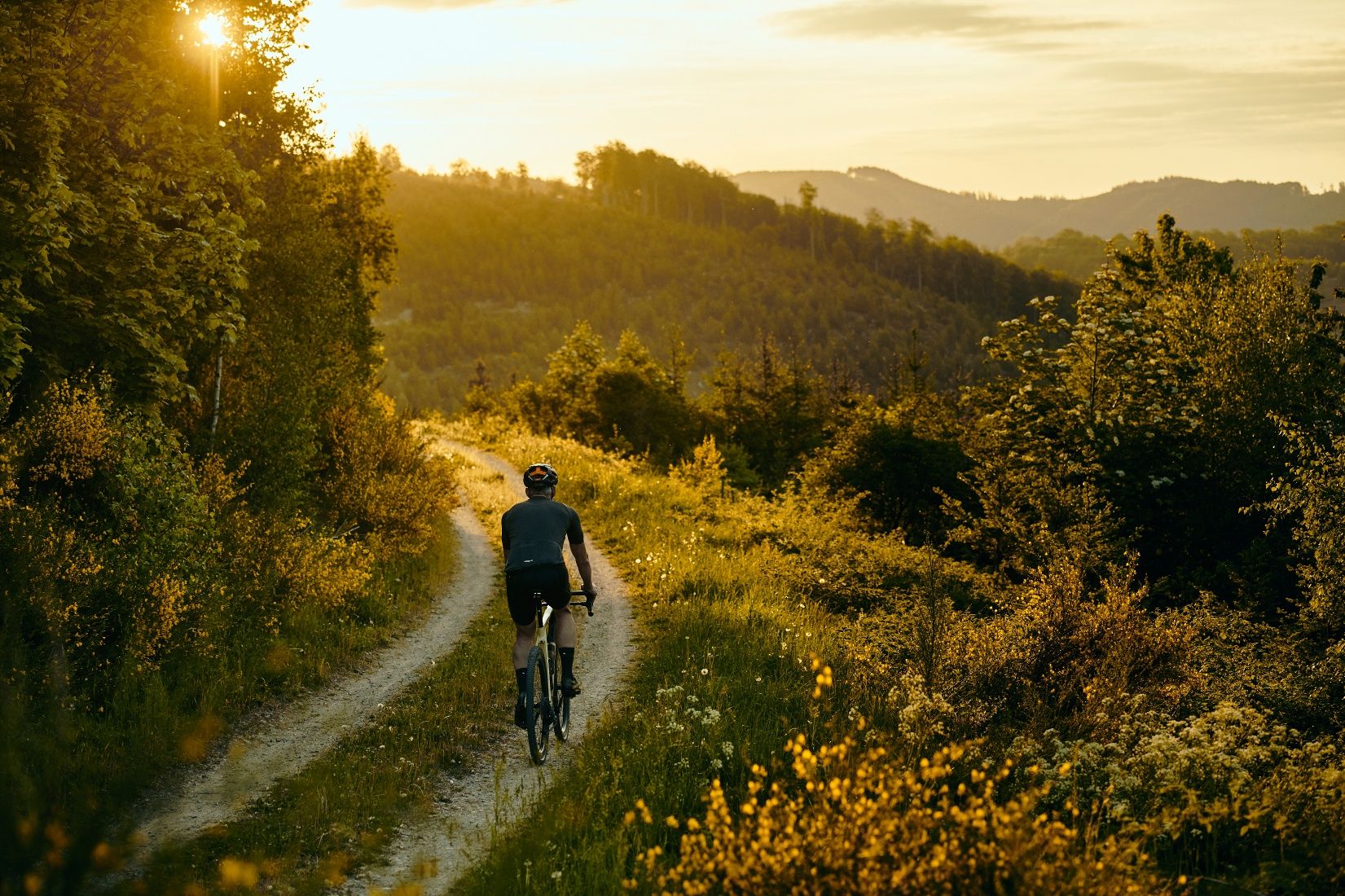 Ein Radfahrer fährt bei Sonnenuntergang auf einem Waldweg durch eine hügelige Landschaft.