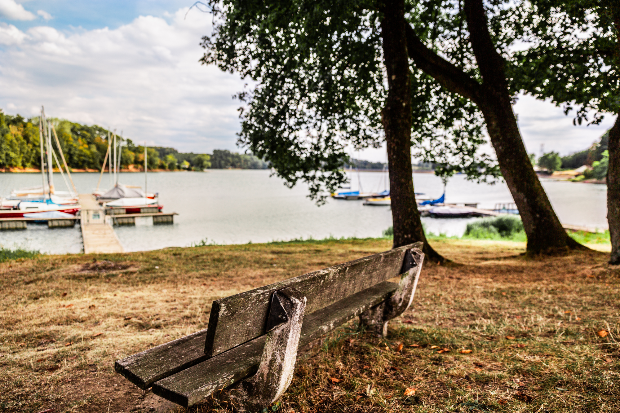 Zur Seite Bevertalsperre