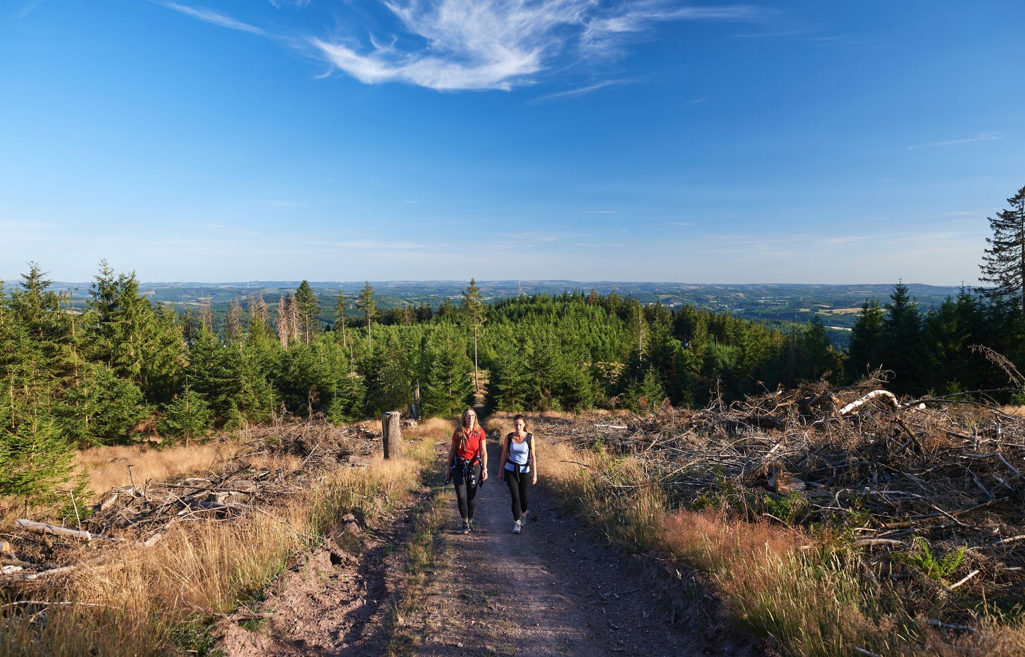 Martinshardt wandern