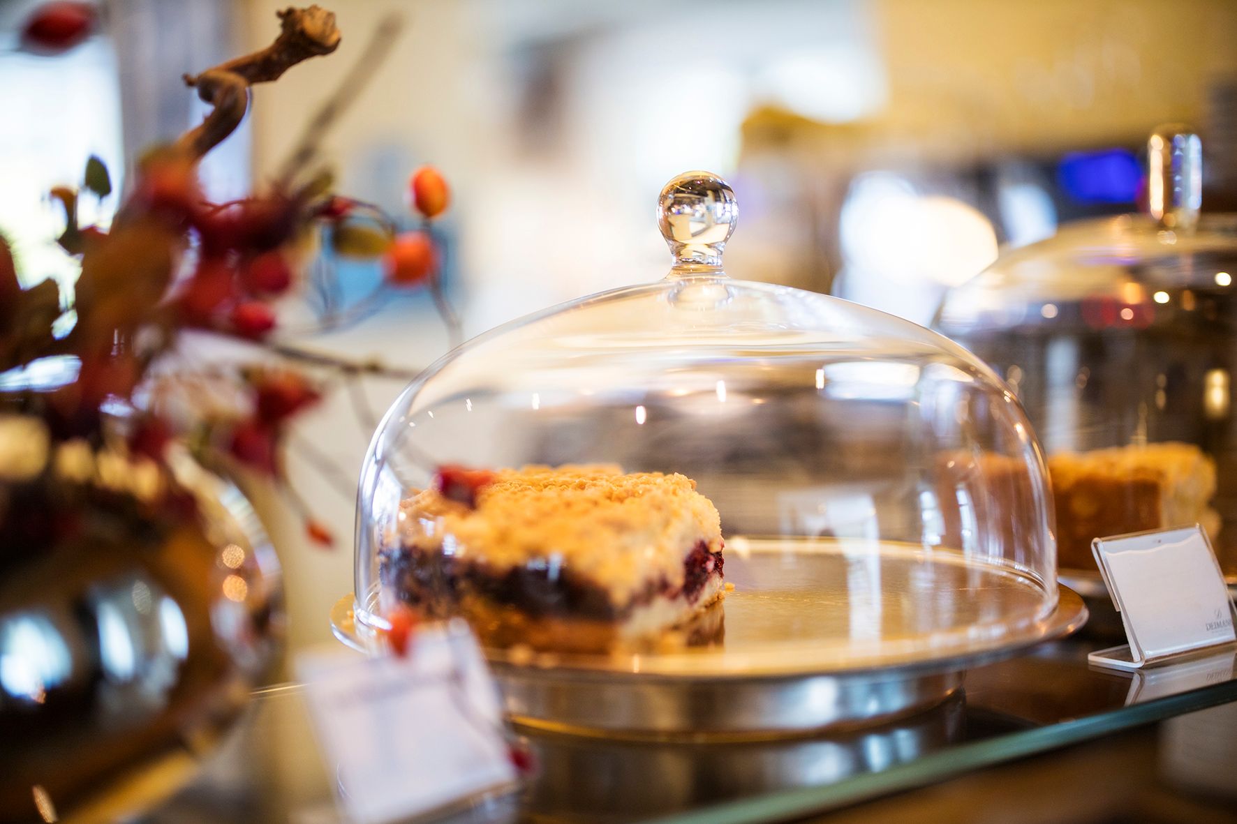 Ein Stück Kuchen steht unter einer Glasglocke auf einer Theke und wirkt frisch und einladend.