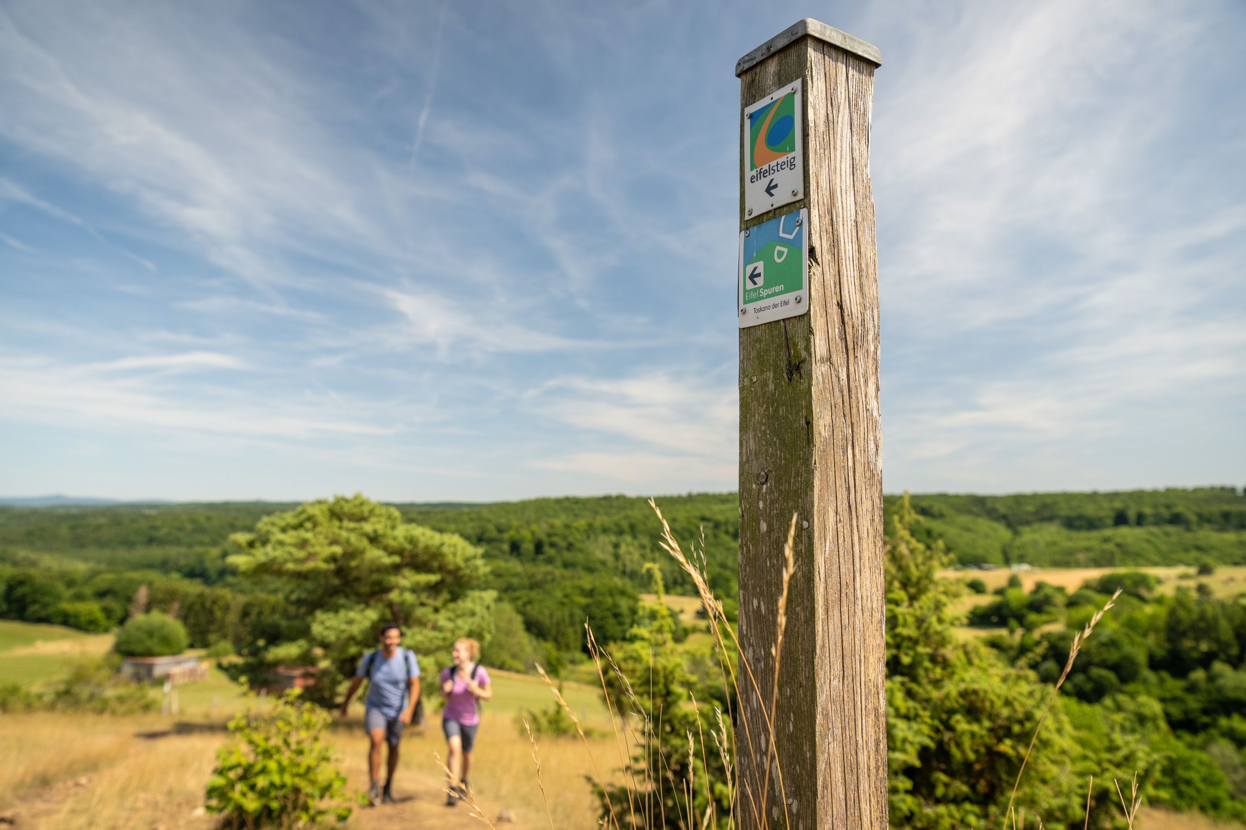 Holzpfosten mit Eifelsteig-Wegweiser, im Hintergrund zwei Wanderer und grüne Landschaft.