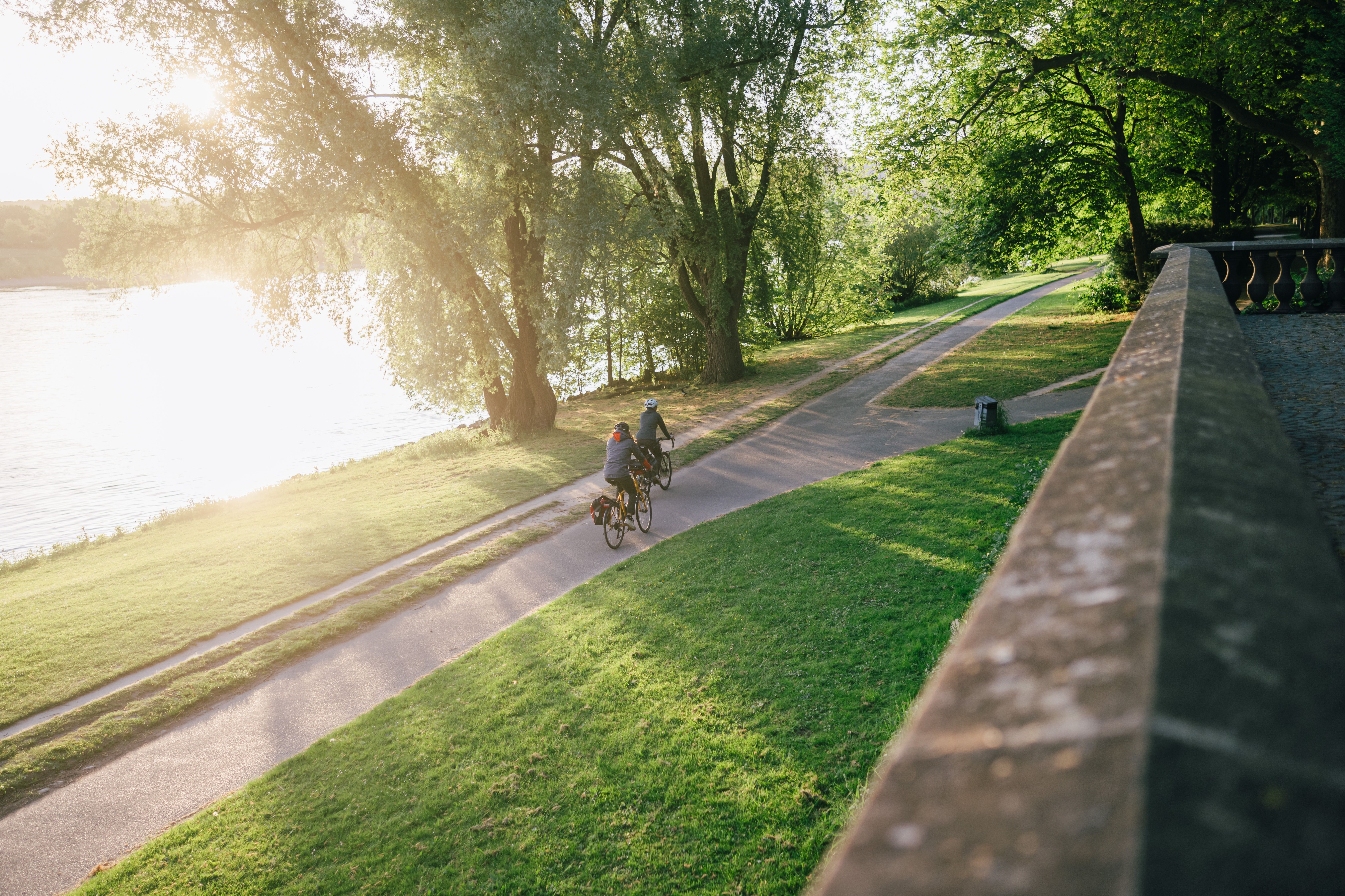 Radfahrer in der Rheinaue in Bonn