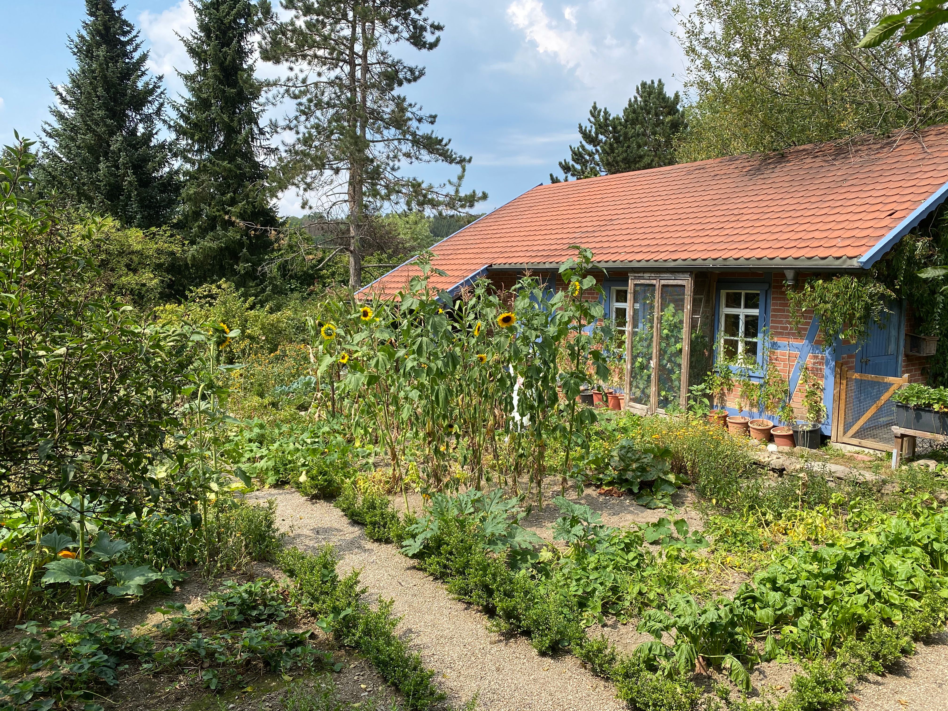 Bauerngarten
