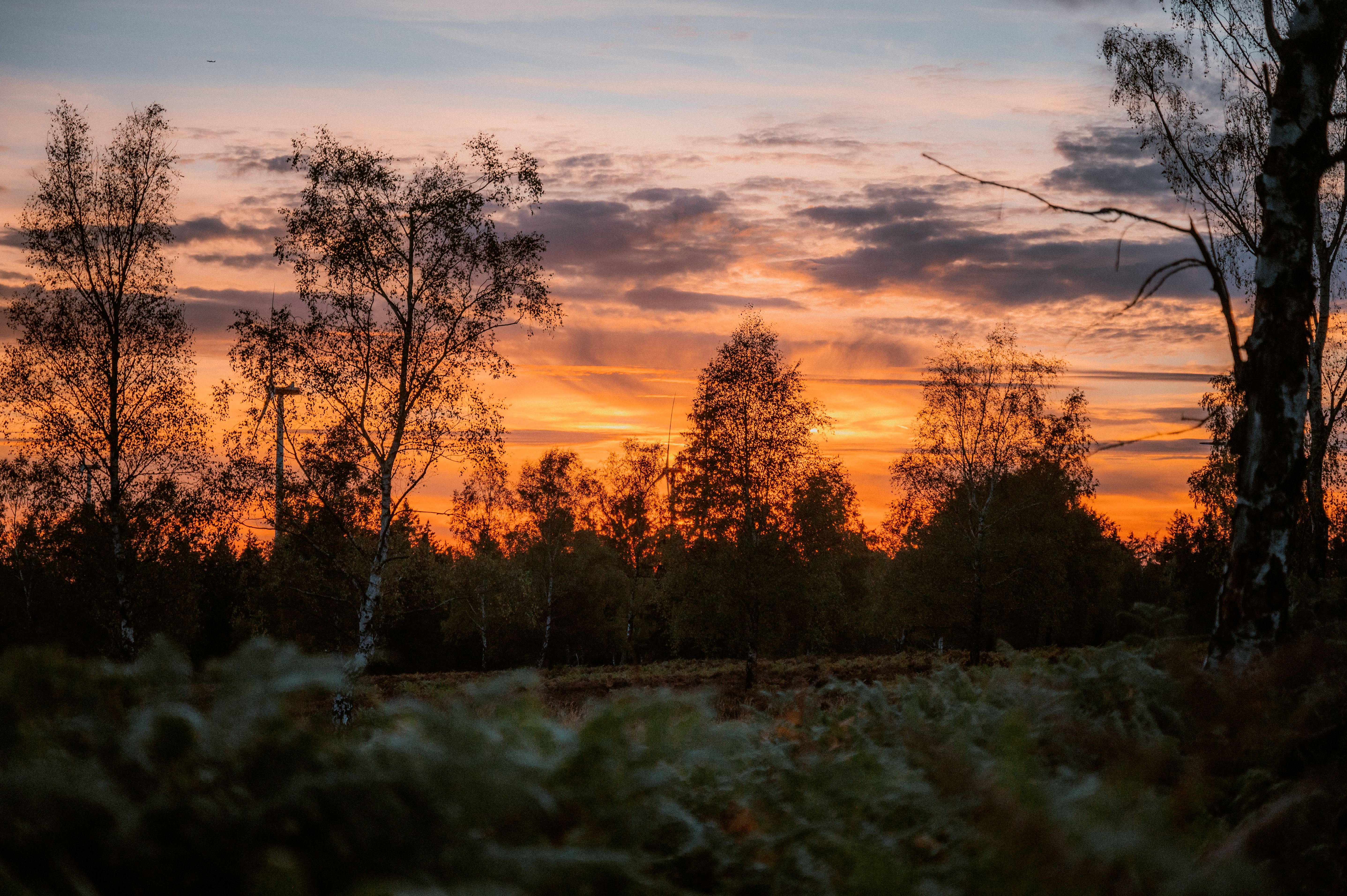 Struffeltroute Sonnenaufgang, Roetgen