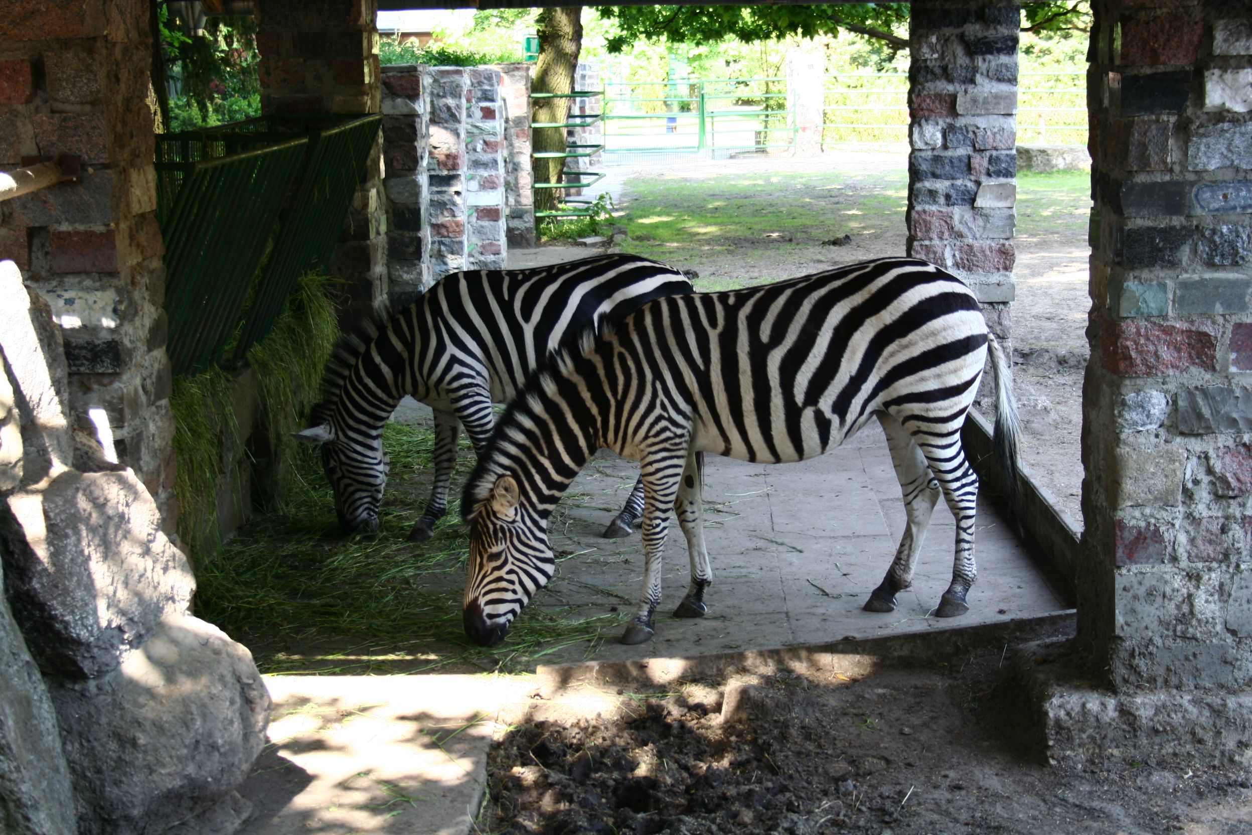 Zur Seite Der Tierpark in Hamm