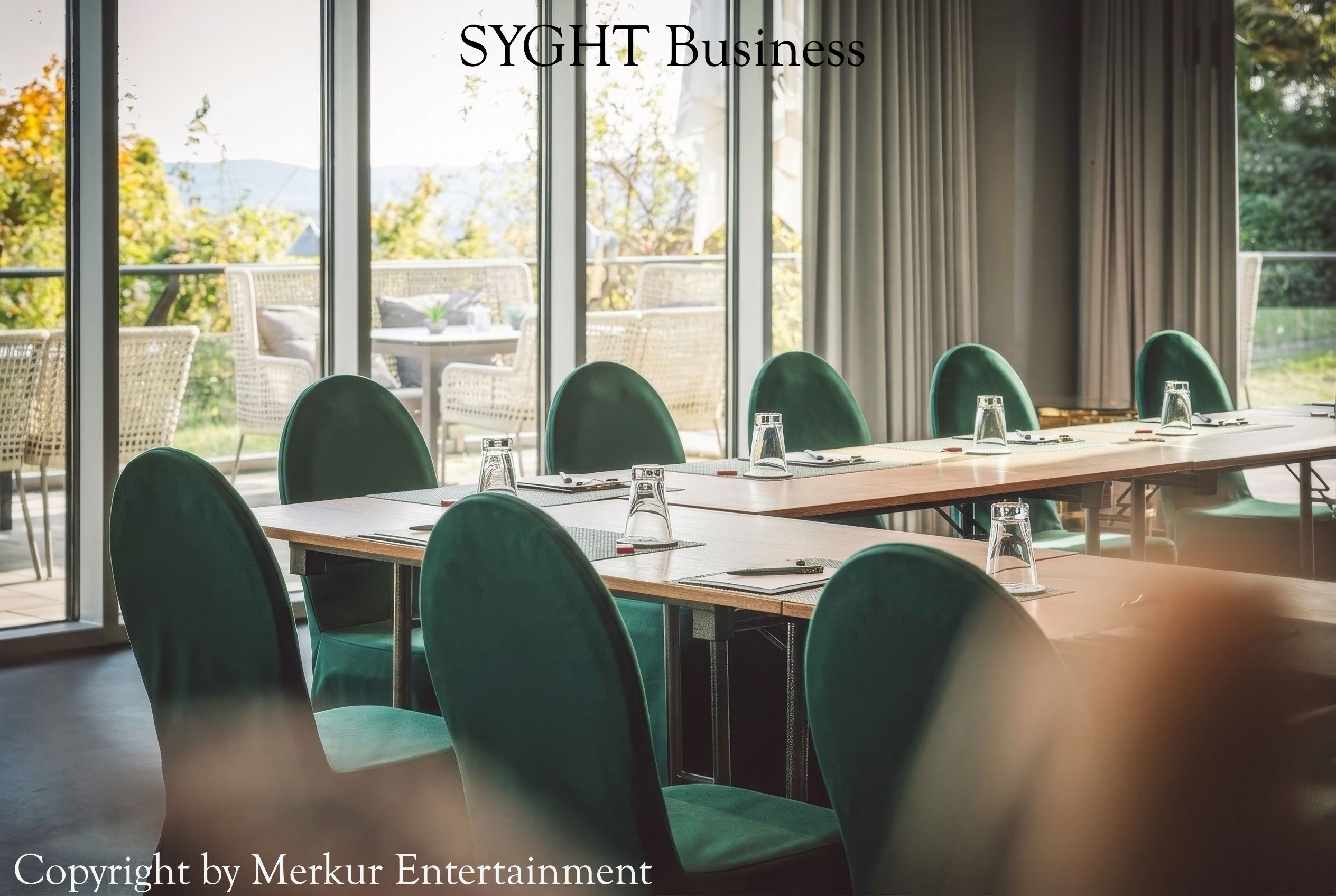 Syght Business