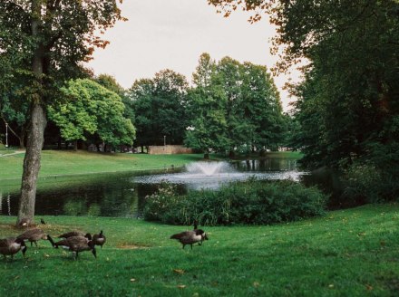 Geroweiher im Geropark, © Johannes Höhn