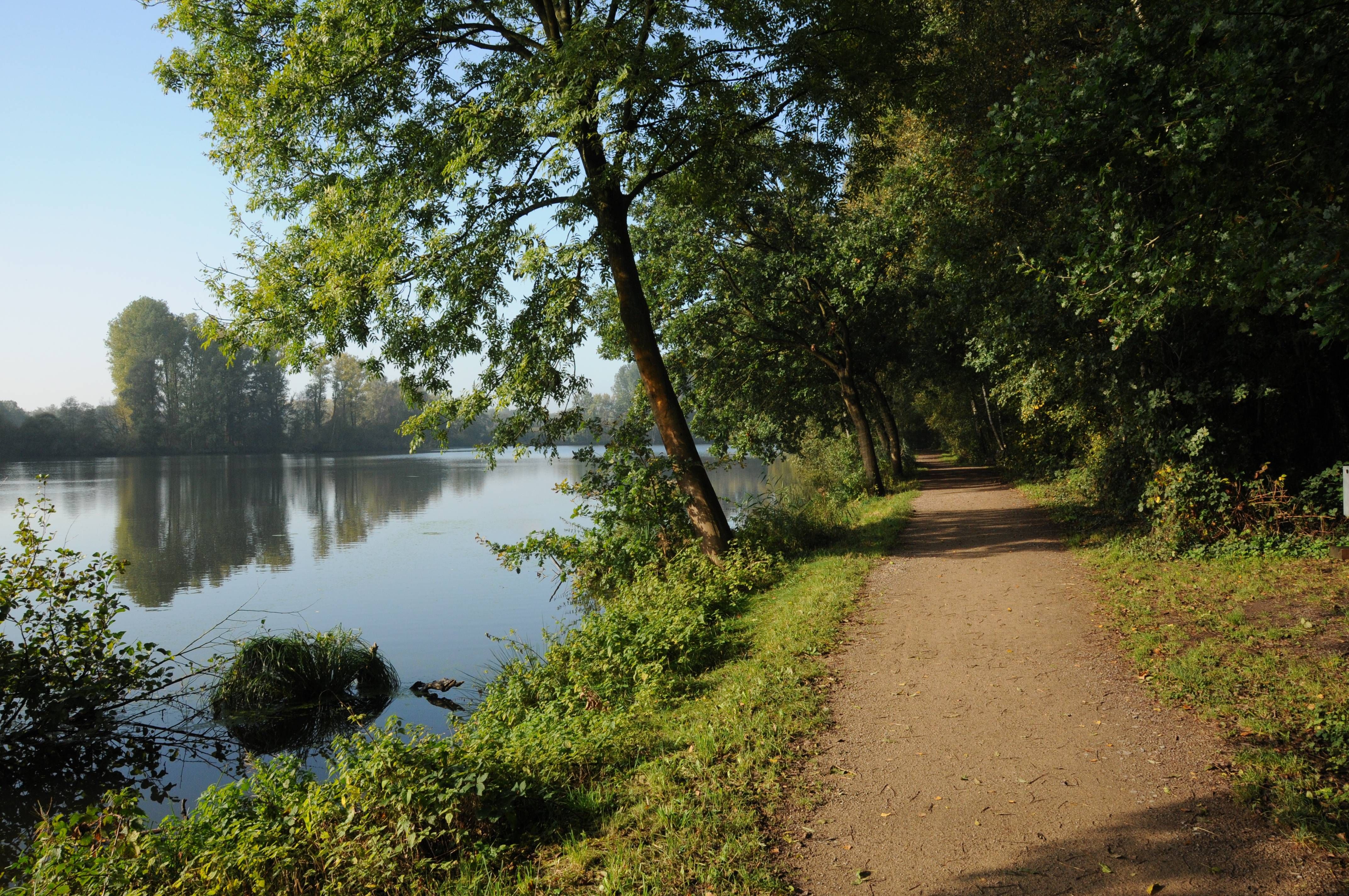 Neben dem Wasser im Naturpark Schwalm-Nette ist ein Wanderweg