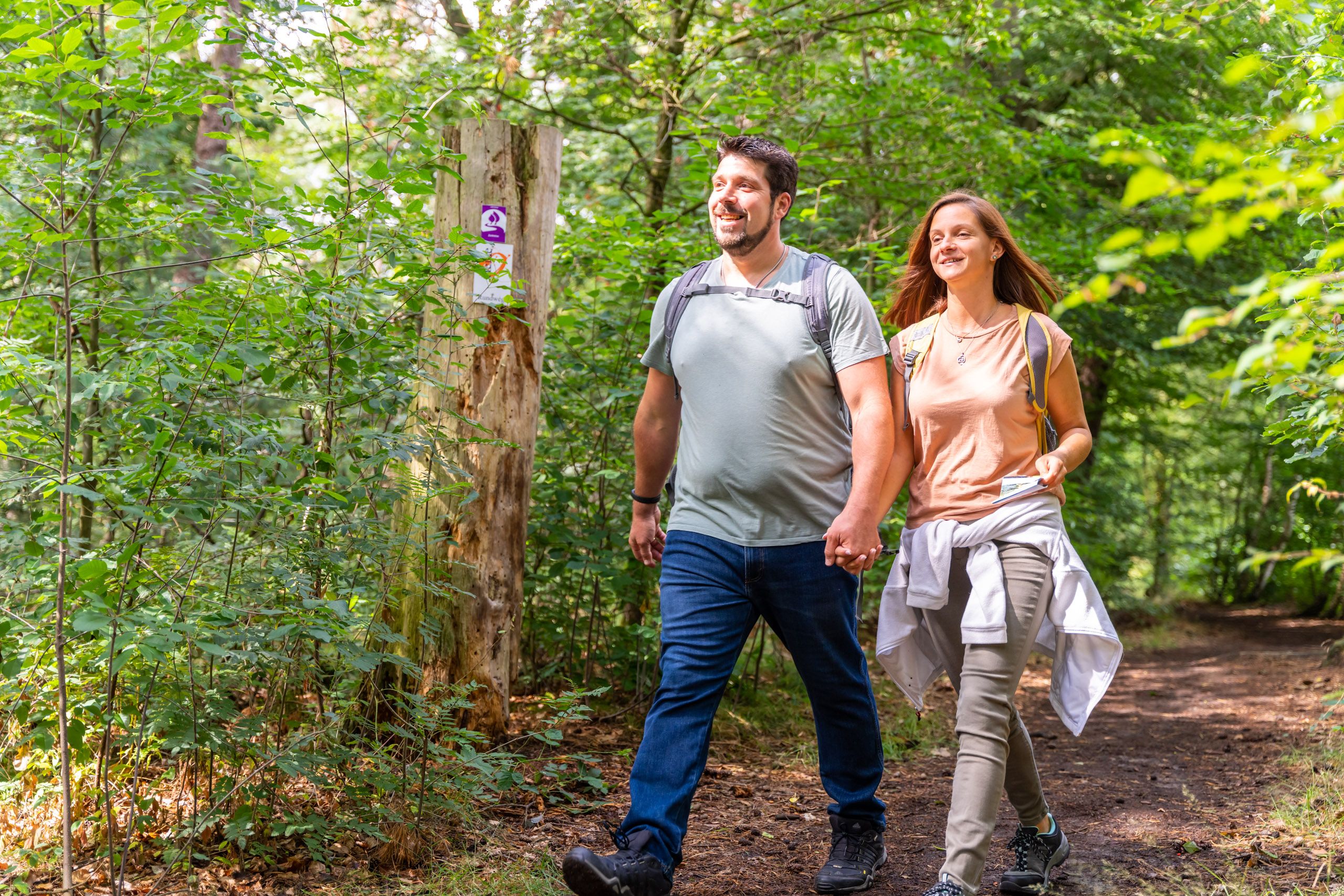 Zur Seite Wandern auf dem Hohe Mark Steig