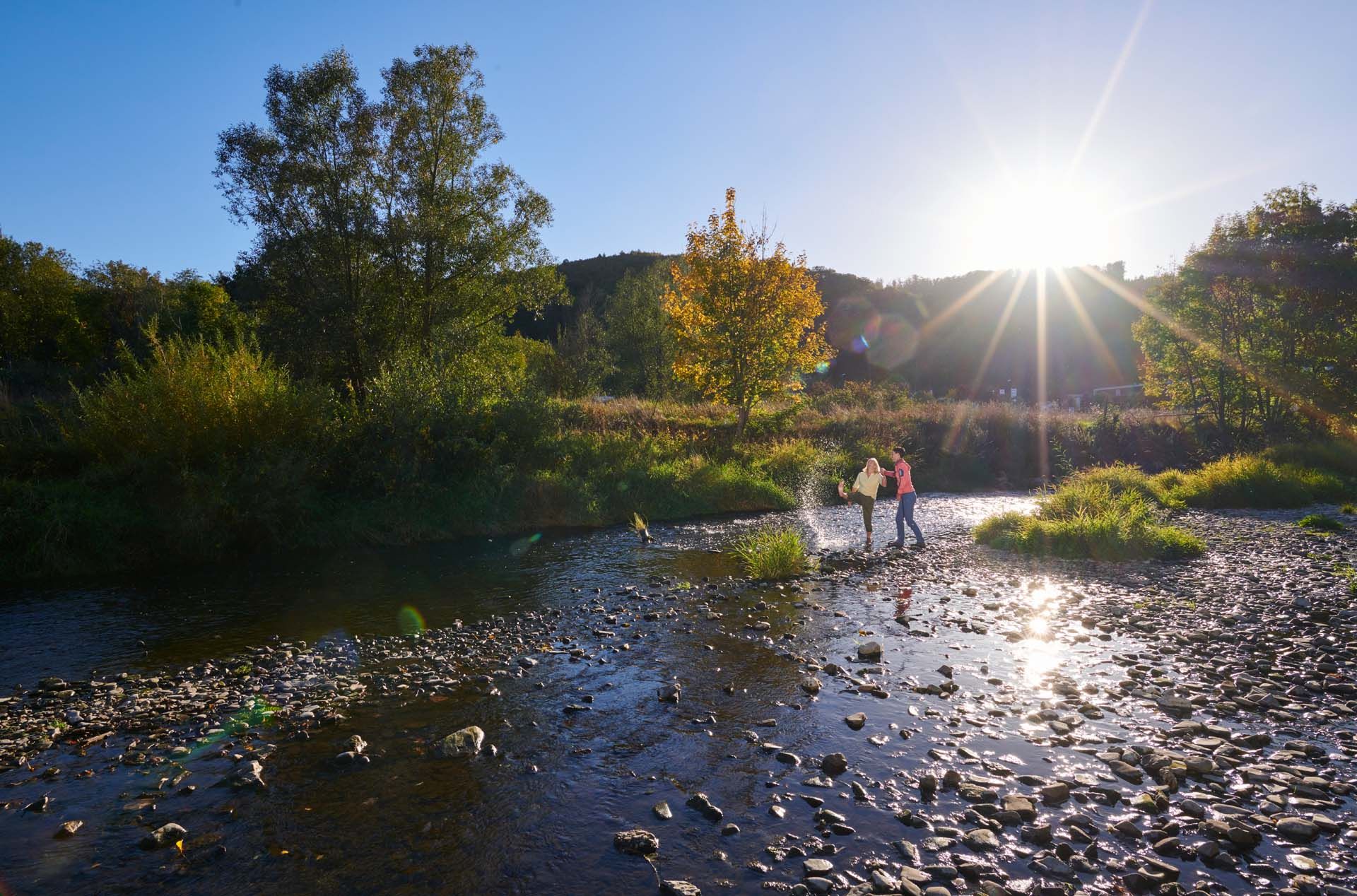 Flussbett Naturpark Arnsberger Wald