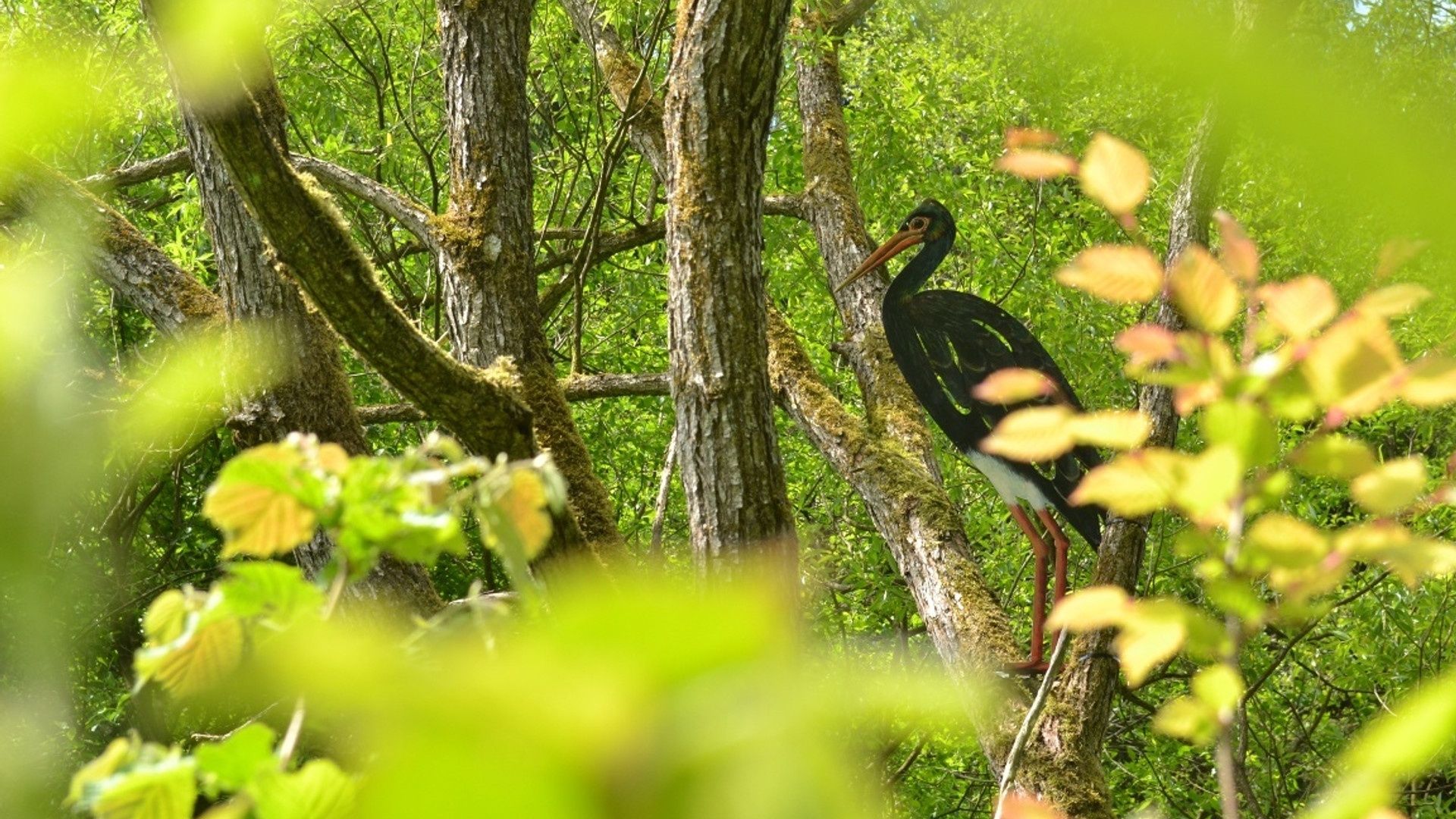 Aussichtspunkt am Beethovenwanderweg