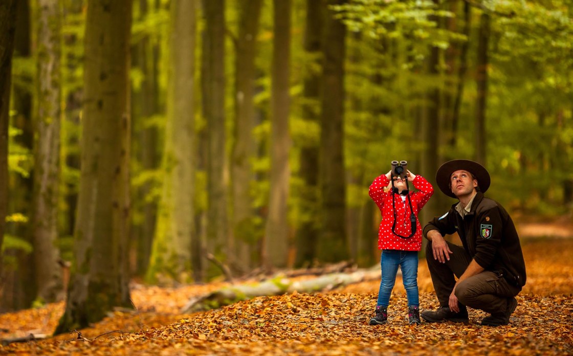 Eifel Nationalpark Kind schaut durch Fernglas mit Ranger, © Tourismus NRW e.V.