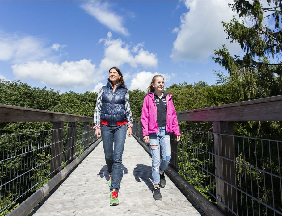 Zwei Personen spazieren auf einem Holzsteg im Wald bei sonnigem Wetter.