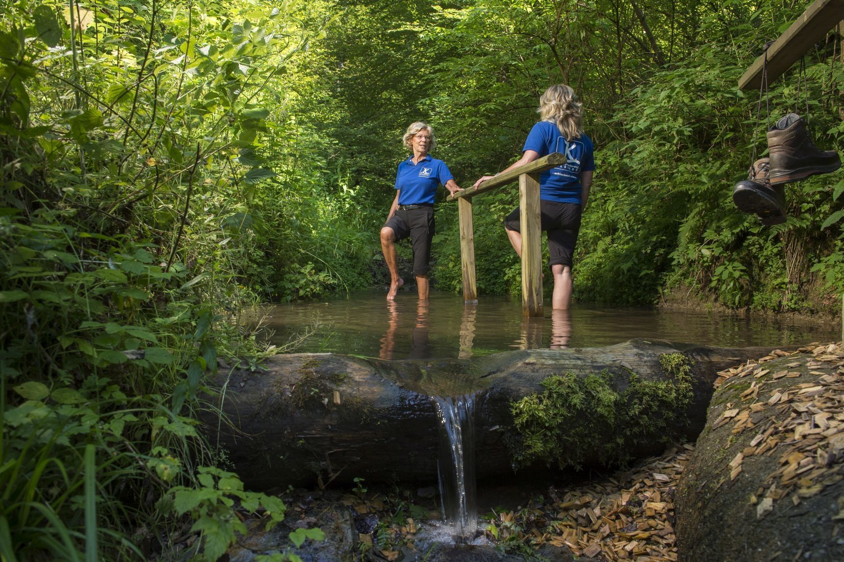 Tretstelle Papendiek auf dem Kneippweg