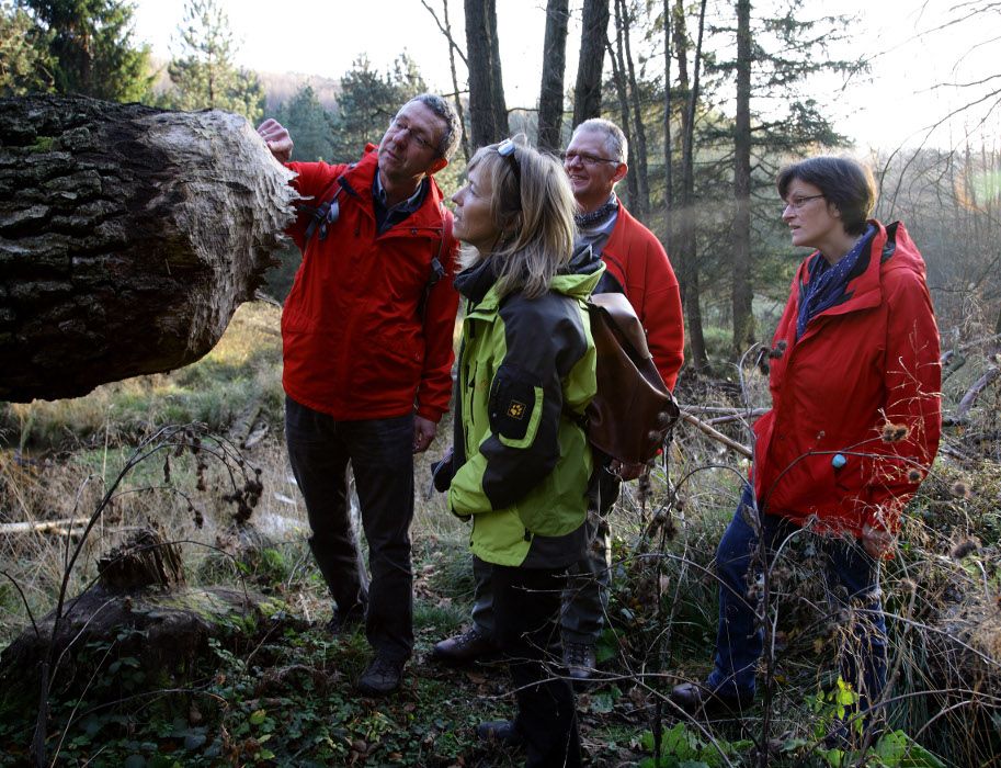 Entdecker betrachten einen angeknabberten Baumstamm im Wald.