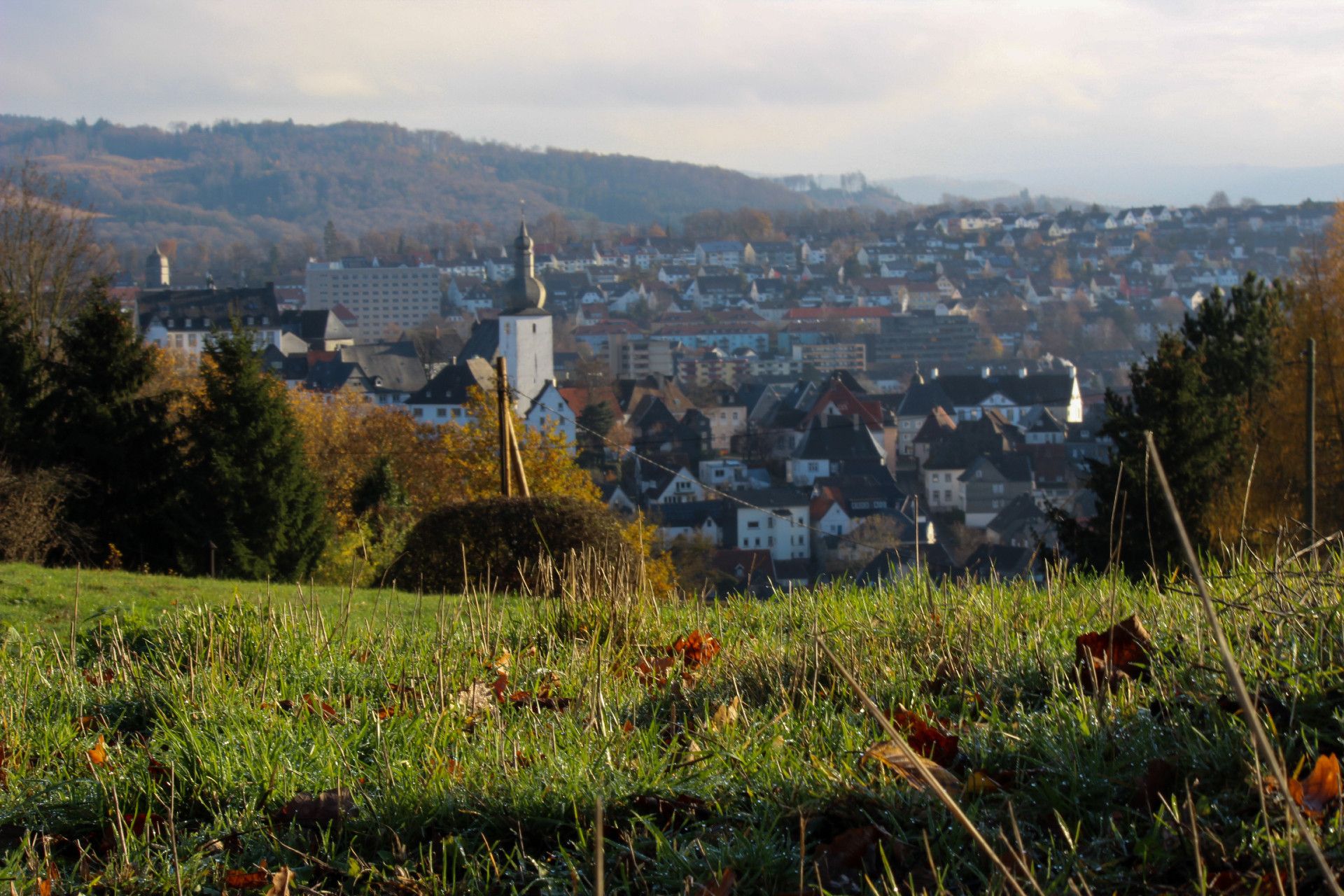 Kurfürstlicher Thiergarten Arnsberg Sauerland