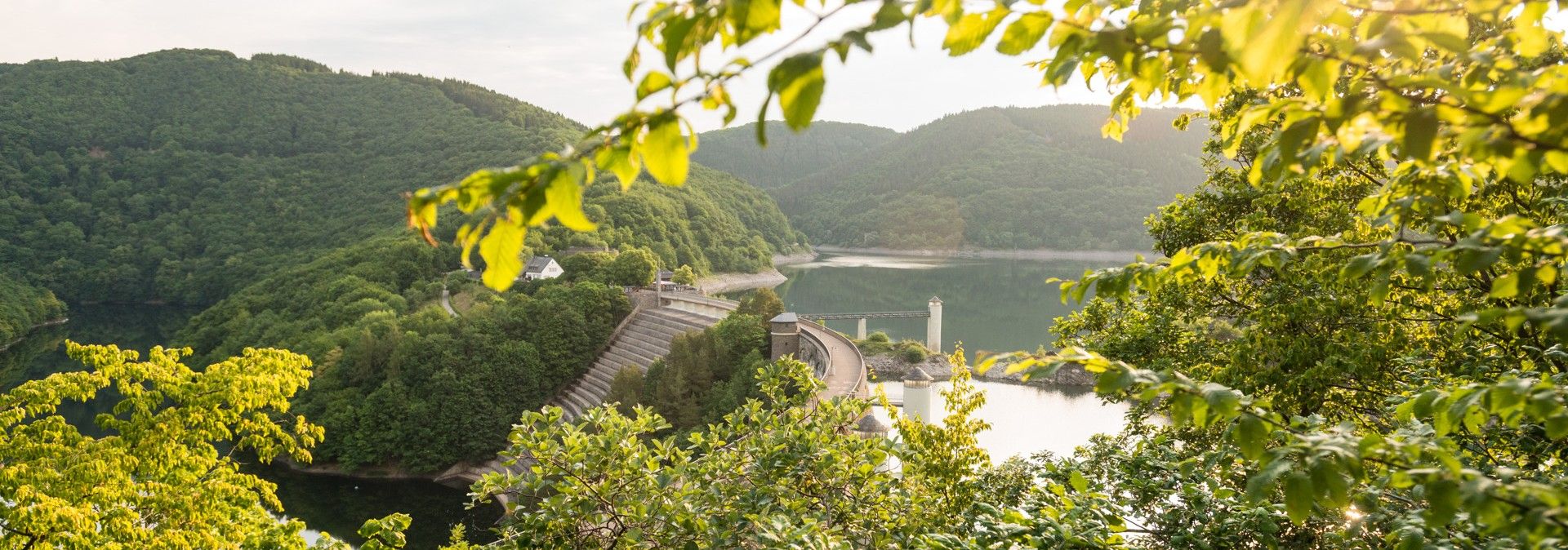 Blick auf die Urttalsperre, umgeben von grünen Hügeln und Bäumen. Die Talsperre reflektiert das Licht der untergehenden Sonne.