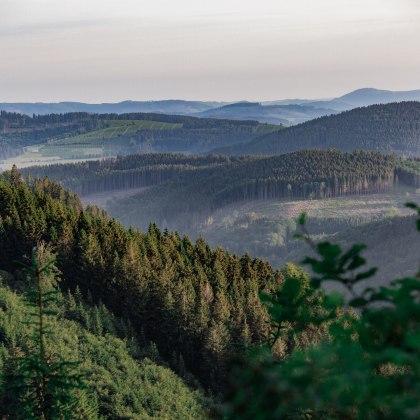 Blick auf die Fichtenwälder auf dem Rothaarsteig, © Tourismus NRW e.V.