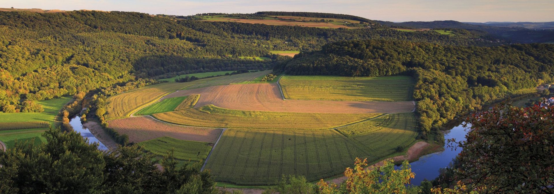 Panoramablick auf eine Flusslandschaft mit Feldern und Wäldern im Sonnenlicht.