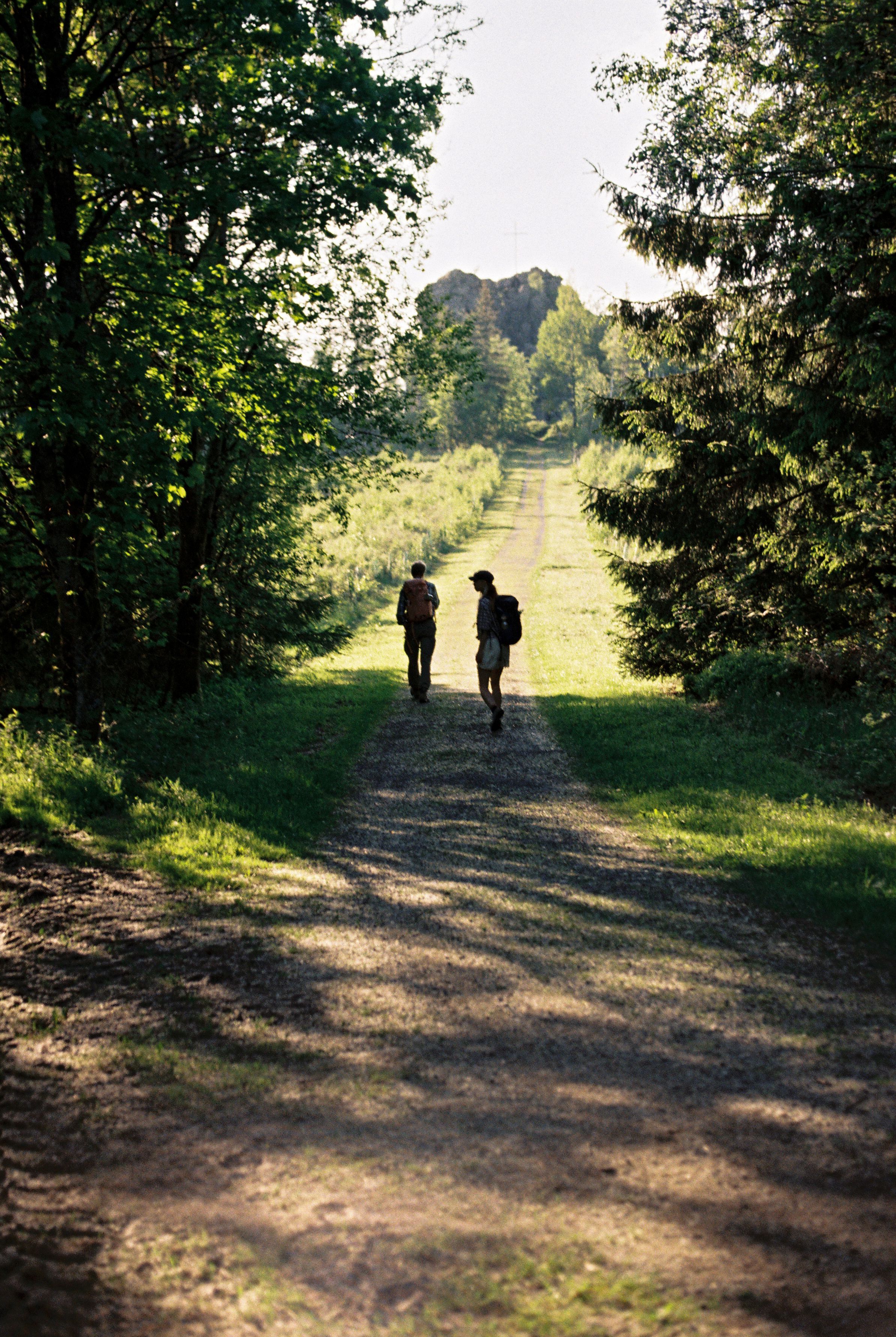 Zur Seite Wandern, wohlfühlen, verwurzeln