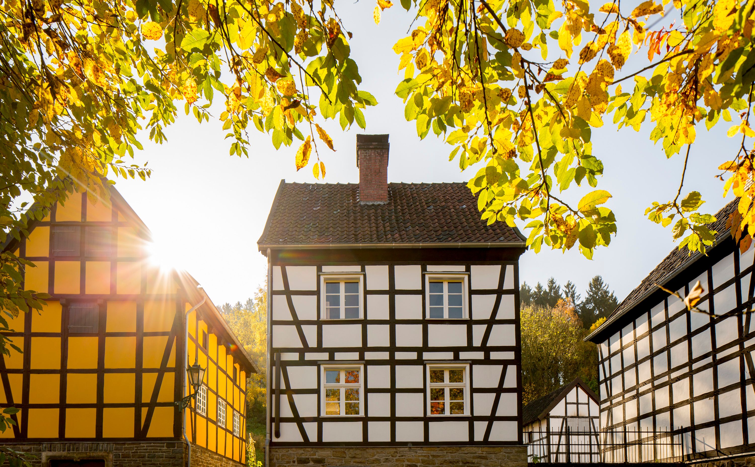 Sonnenstrahlen scheinen durch die Blätter auf Fachwerkhäuser im Freilichtmuseum Hagen, umgeben von herbstlichen Bäumen.