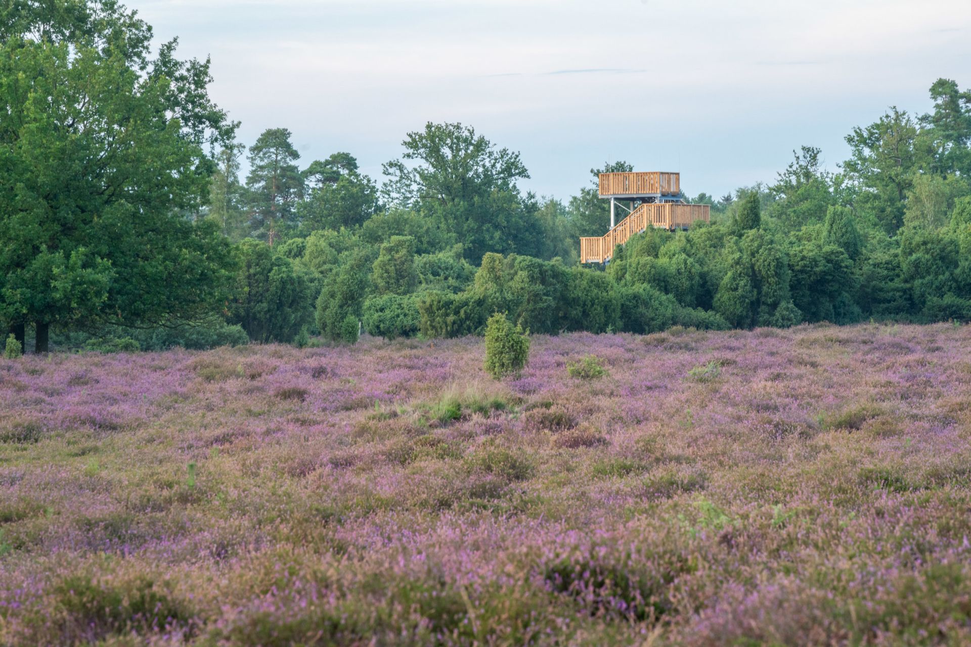 Im Naturschutzgebiet Elmpter Schwalmbruch befinden sich unter anderem ein Moor, Aussichtspunkte und die größte Wacholderheide des linken Niederrheins