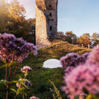 Anblick der Burgruine im Sauerland mit Kissen und im Vordergrund sind Blumen, © Tourismus NRW e.V.
