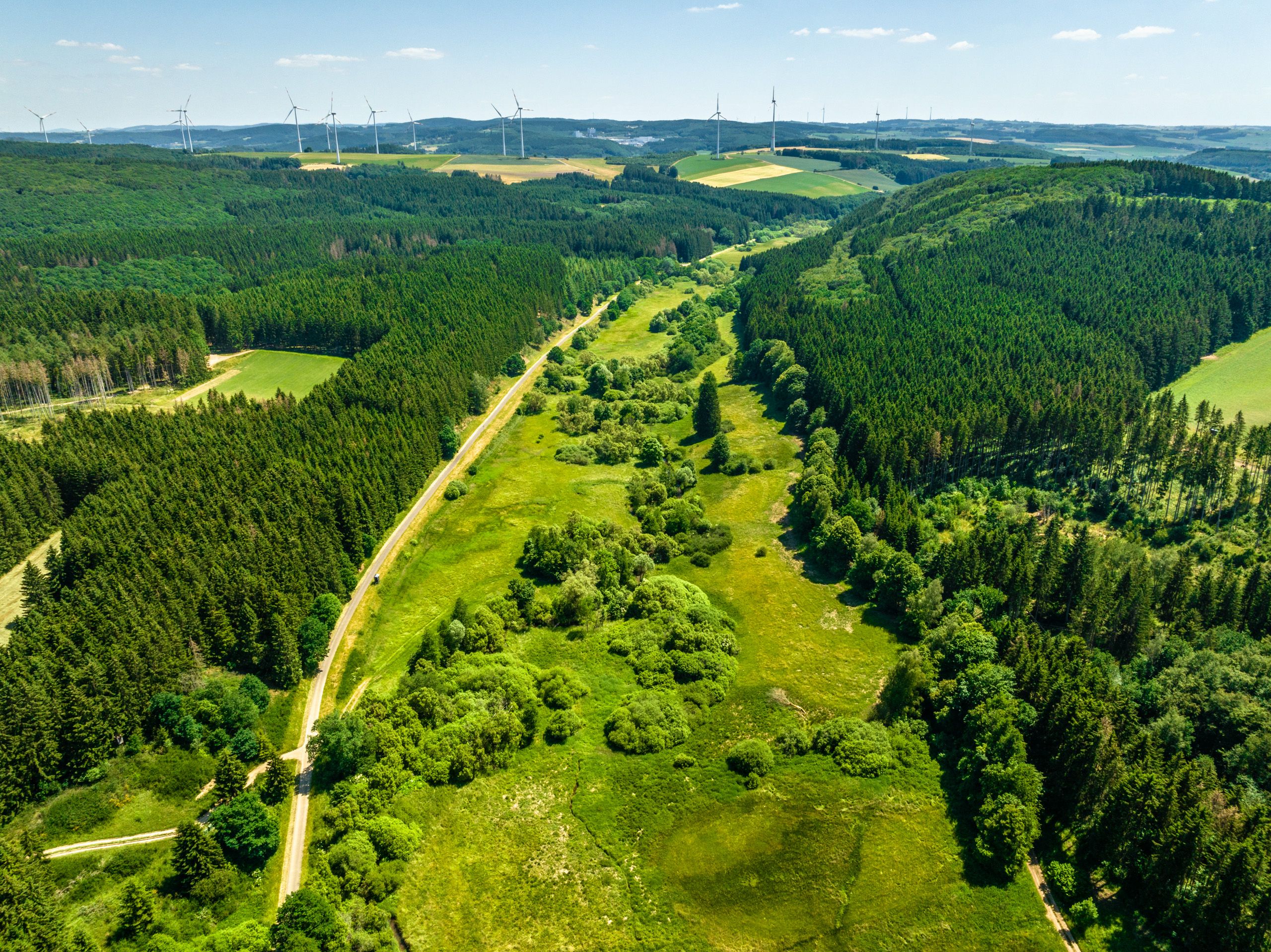 Der Eifel-Ardennen-Radweg führt mitten durch die grüne Landschaft der Eifelhle, Habscheid-©Eifel Tourismus GmbH, Dominik Ketz