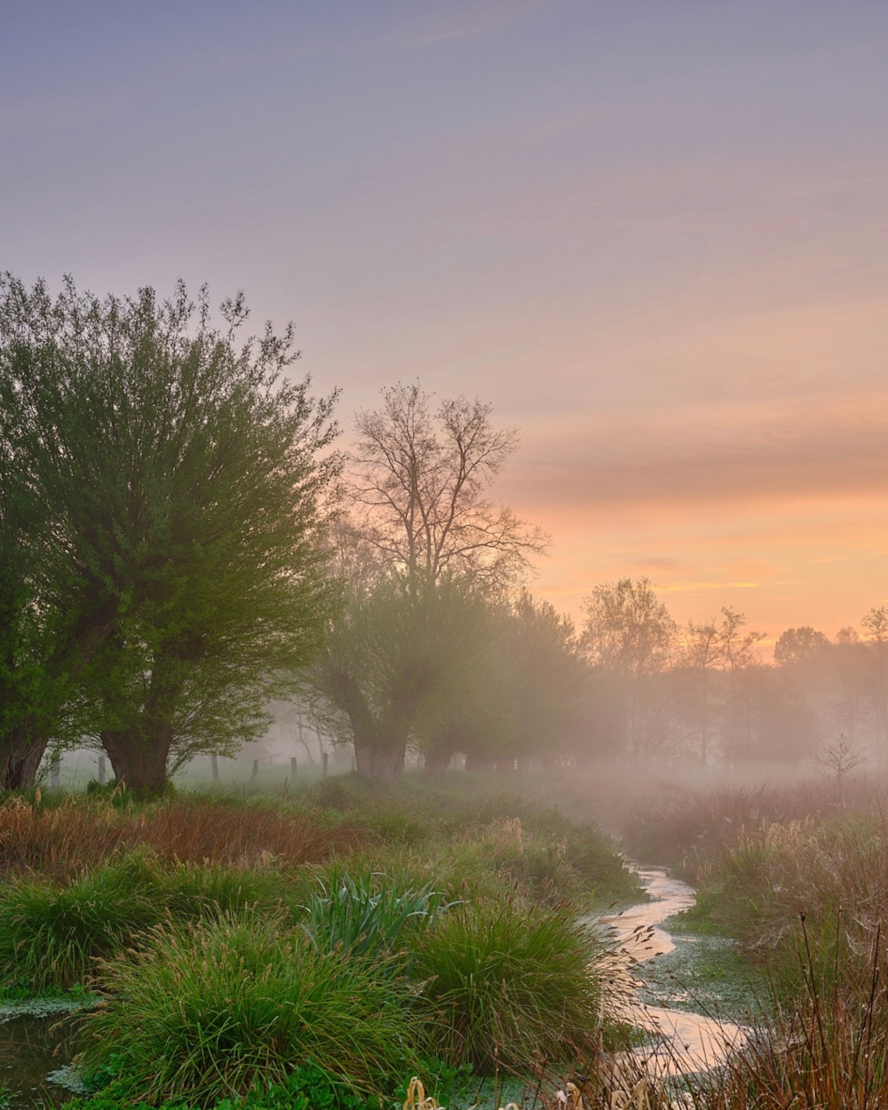Zur Seite Naturpark Schwalm-Nette