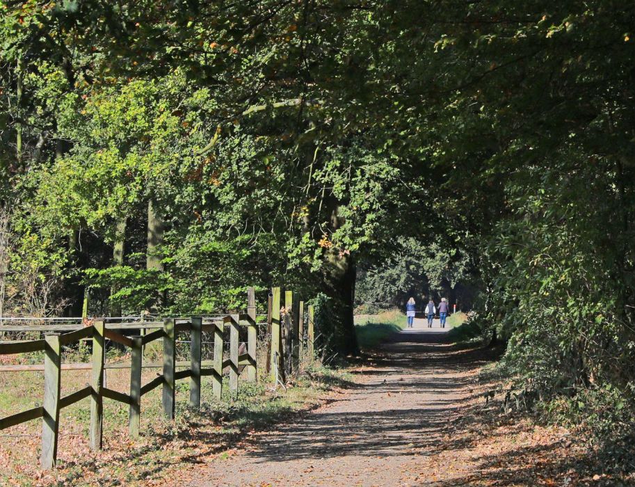 Ein schattiger Wanderweg mit Bäumen und einem Holzzaun am Niederrhein, drei Personen gehen in der Ferne