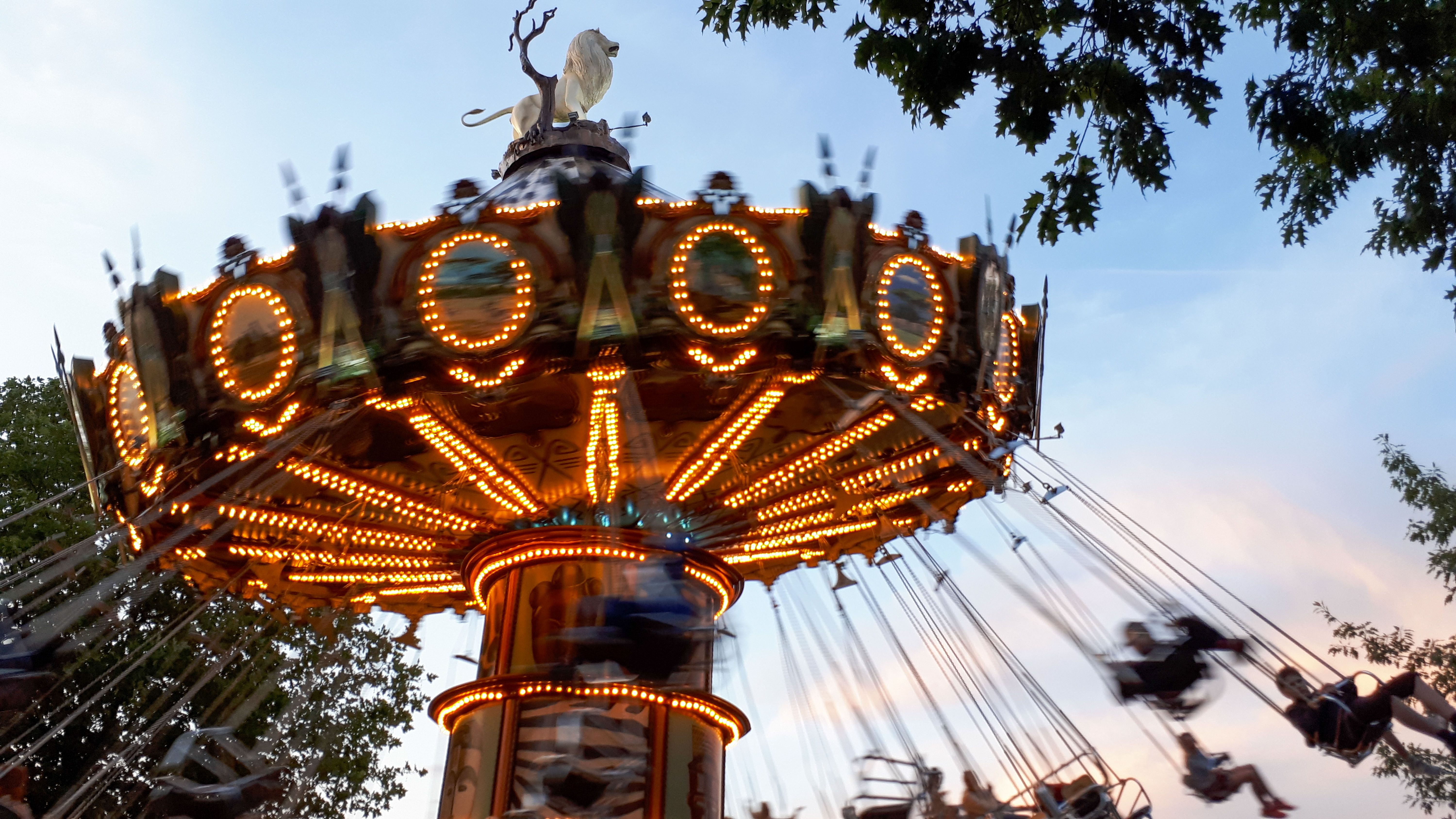 Safariland_SHS_CC-BY-SA_Teutoburger_Wald_Stadt_Schloss_Holte-Stukenbrock (1).jpg