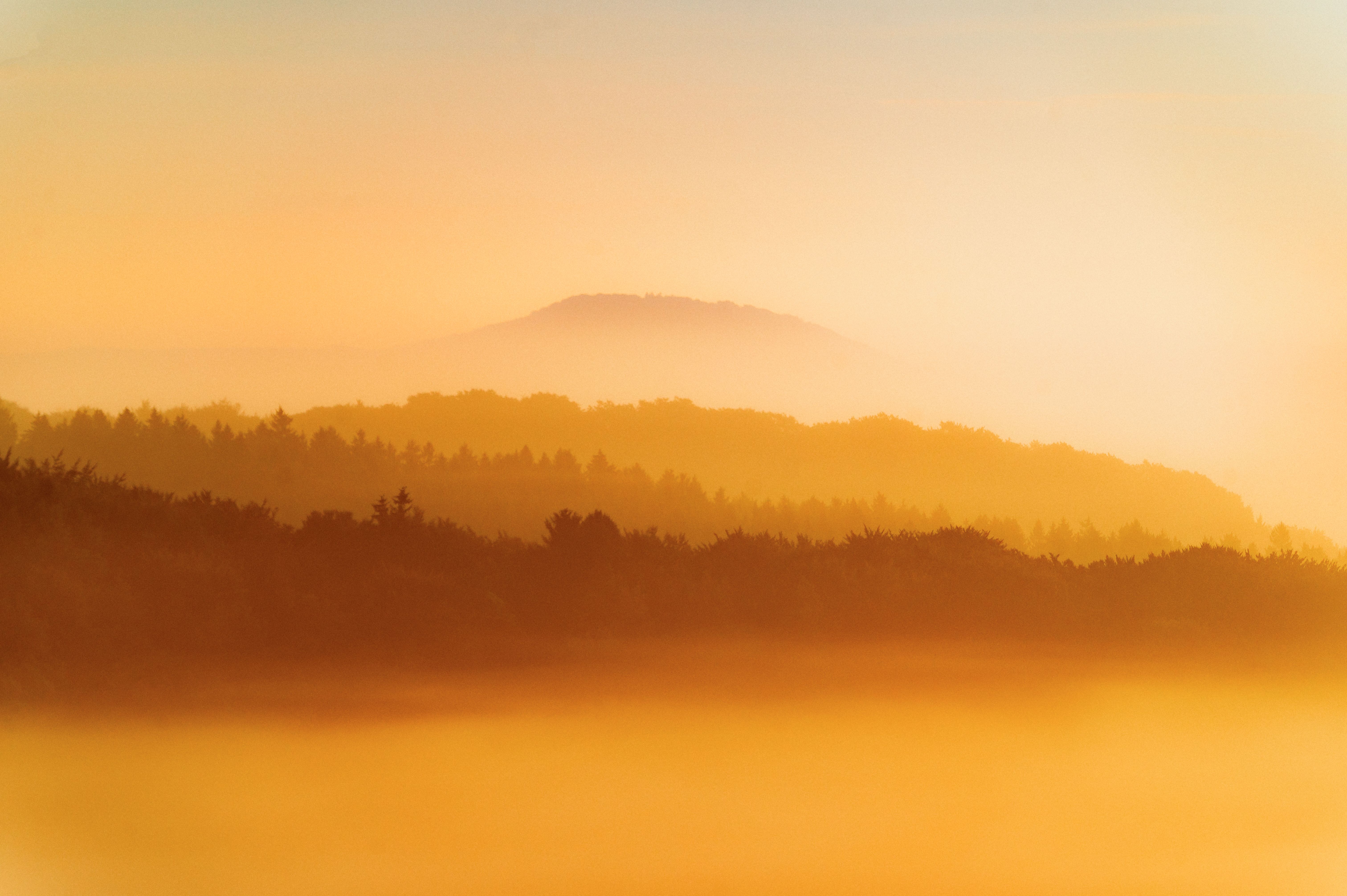 Ein nebliger Sonnenaufgang über dem Kalvarienberg in Alendorf mit sanften, goldenen Farben.