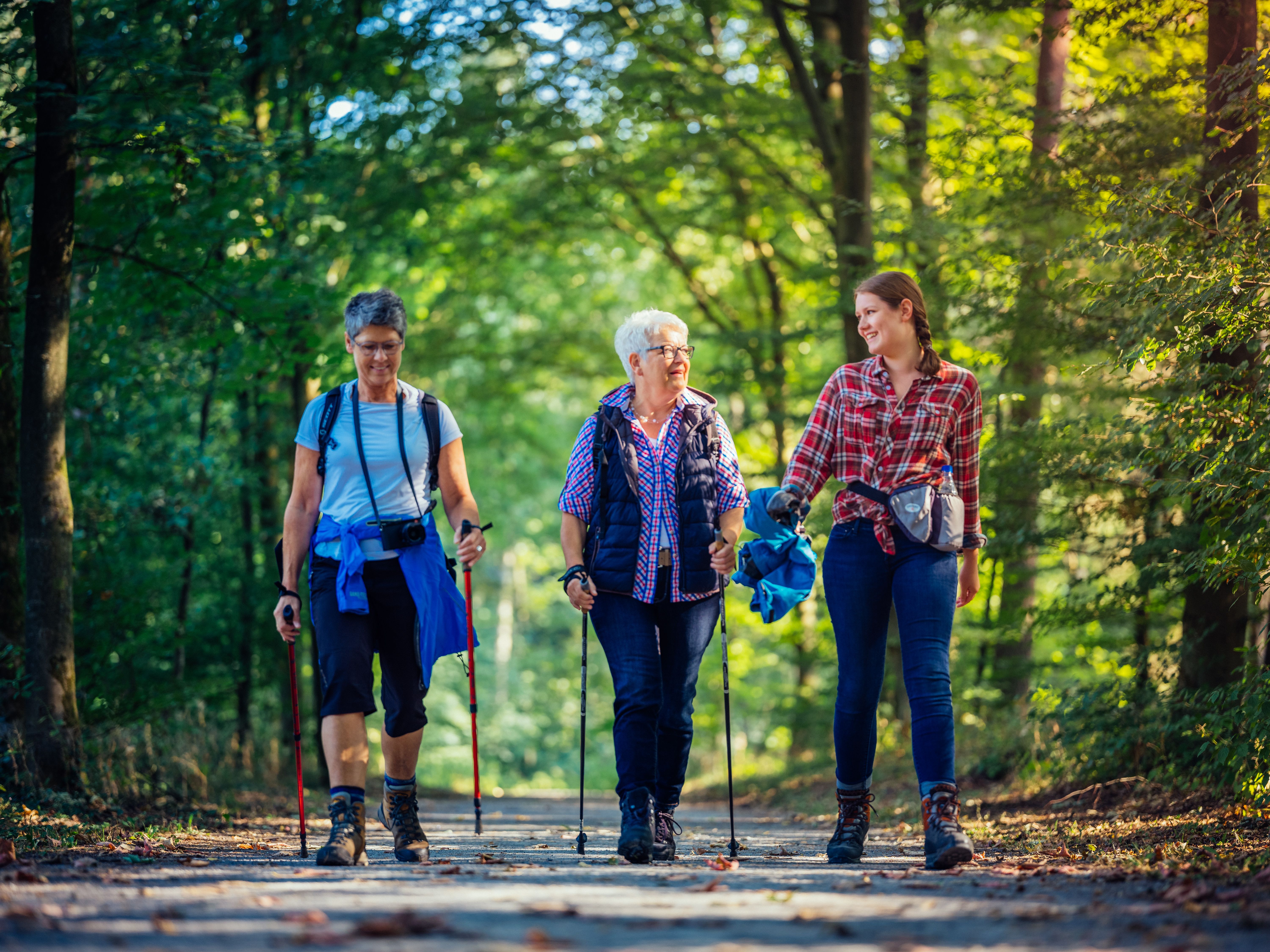 Drei Frauen wandern auf einem Waldweg bei sonnigem Wetter.