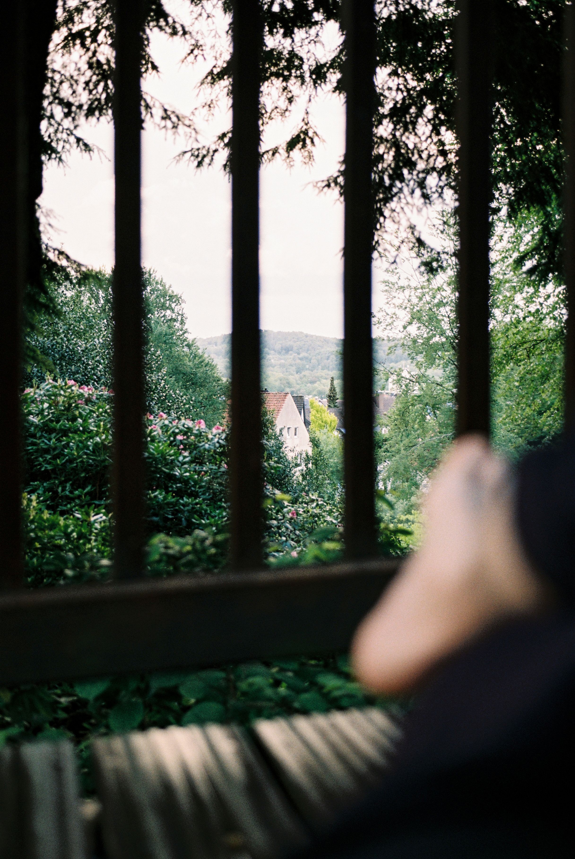 Blick durch Gitter auf Baumwipfel und Hausdächer in Bielefeld.