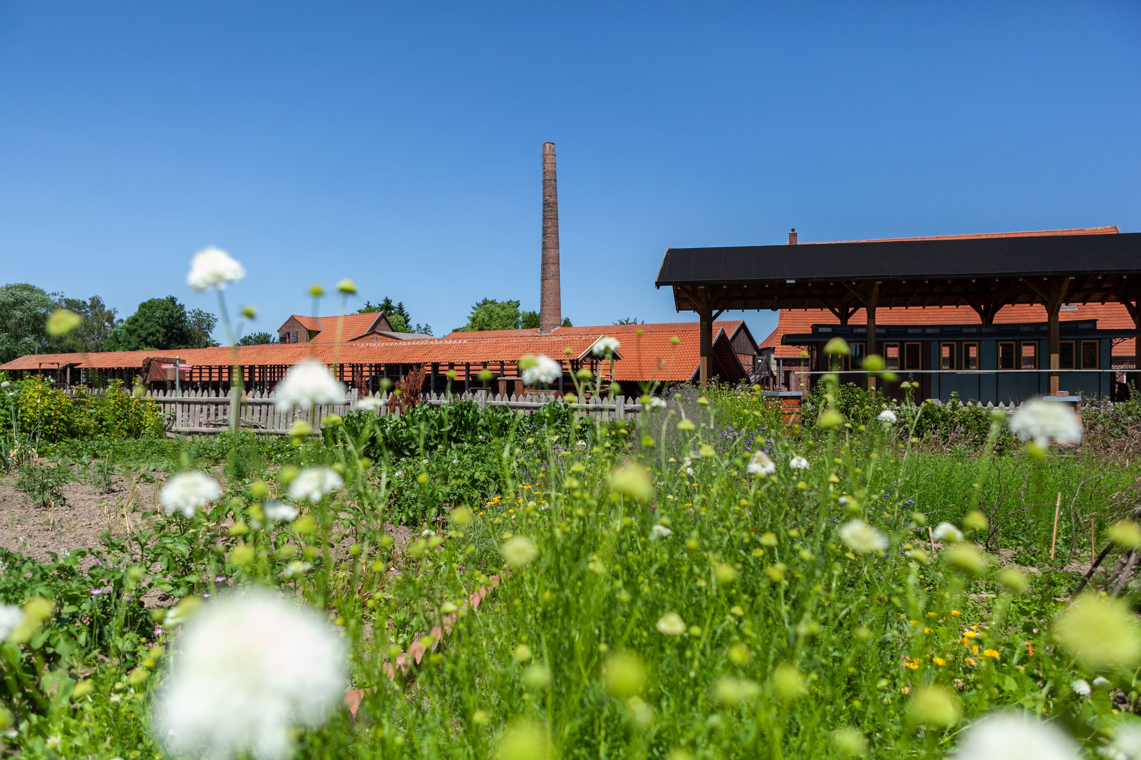 Außenansicht des LWL-Industriemuseums Ziegeleimuseum Lage mit Blick auf eine Blumenwiese
