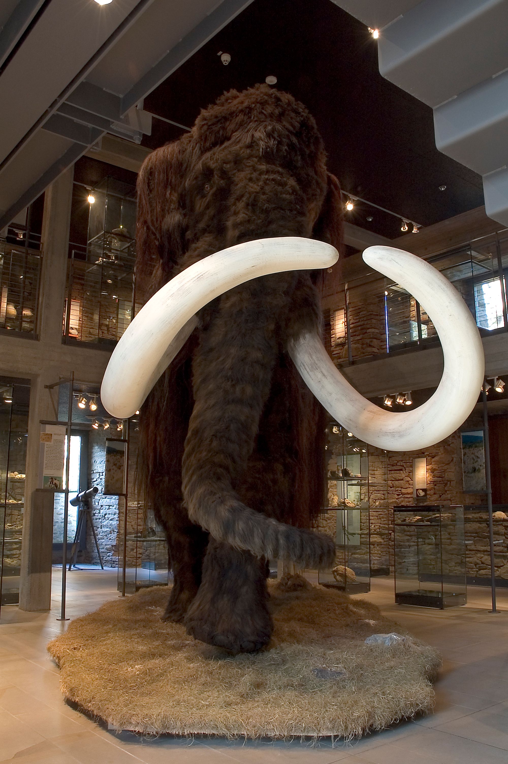 Ein meterhohes Mammut empfängt die Besuchenden aller Altersgruppen im Wasserschloss Werdringen