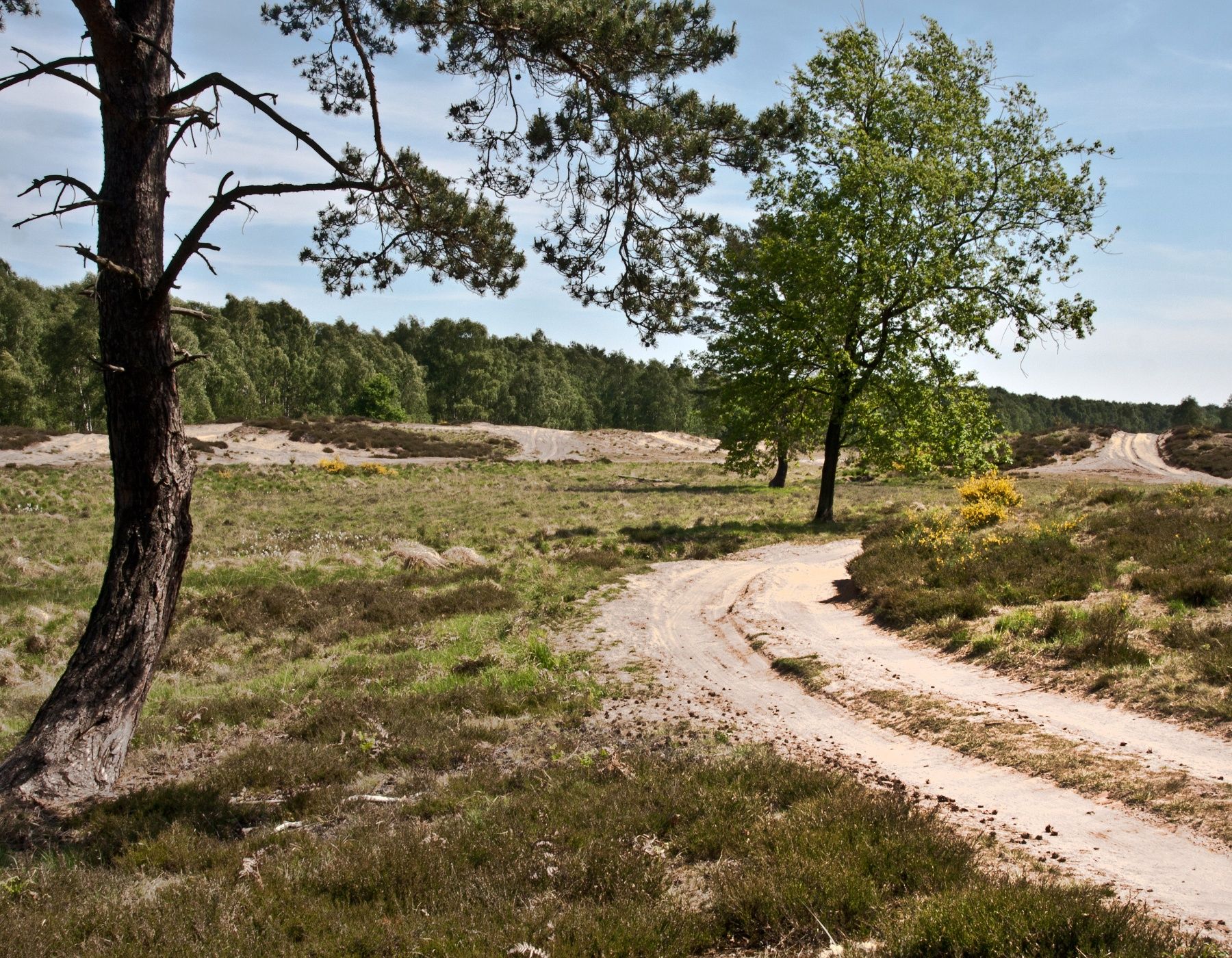 Radtour Sieg | Heide-Rider | Troisdorf