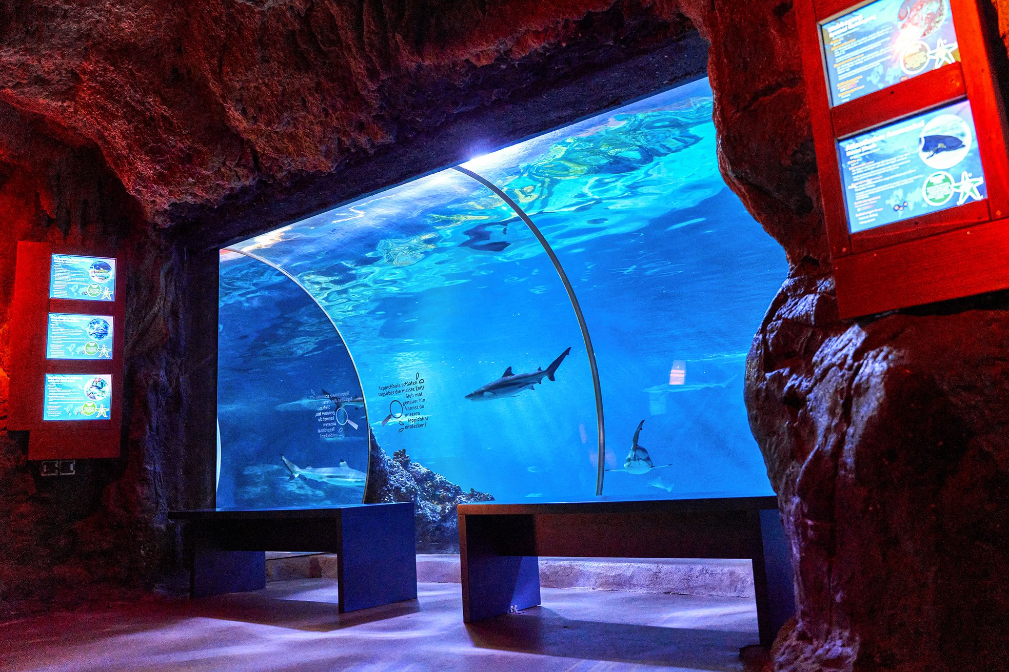 Aquarium SEA LIFE Oberhausen