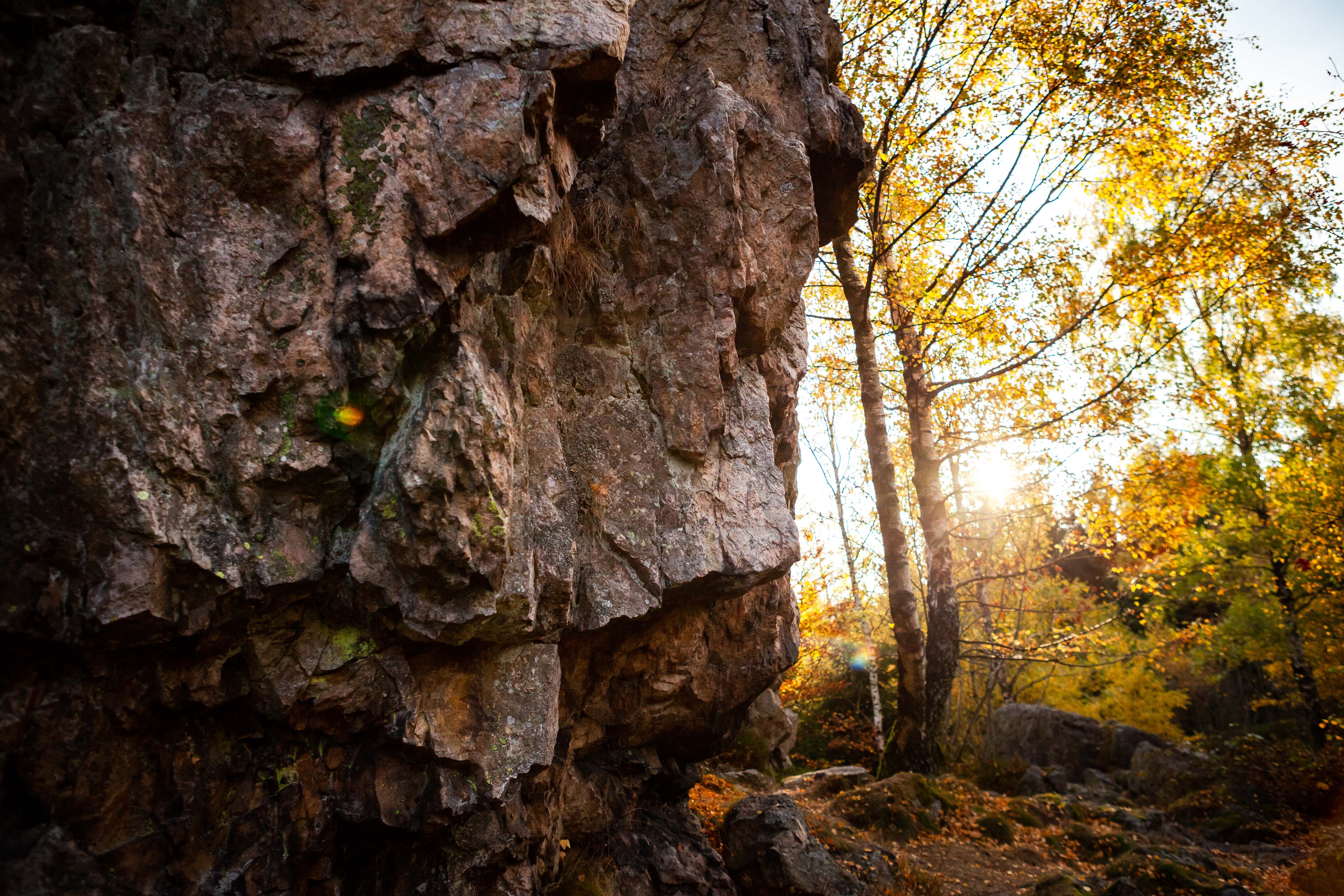 Felsformation und Bäume im Sonnenlicht bei den Bruchhauser Steinen.