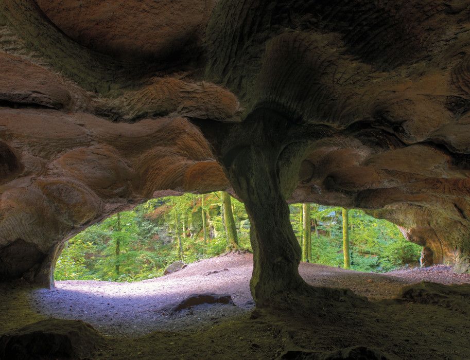Blick aus einer Höhle auf einen Wald mit grünen Bäumen.