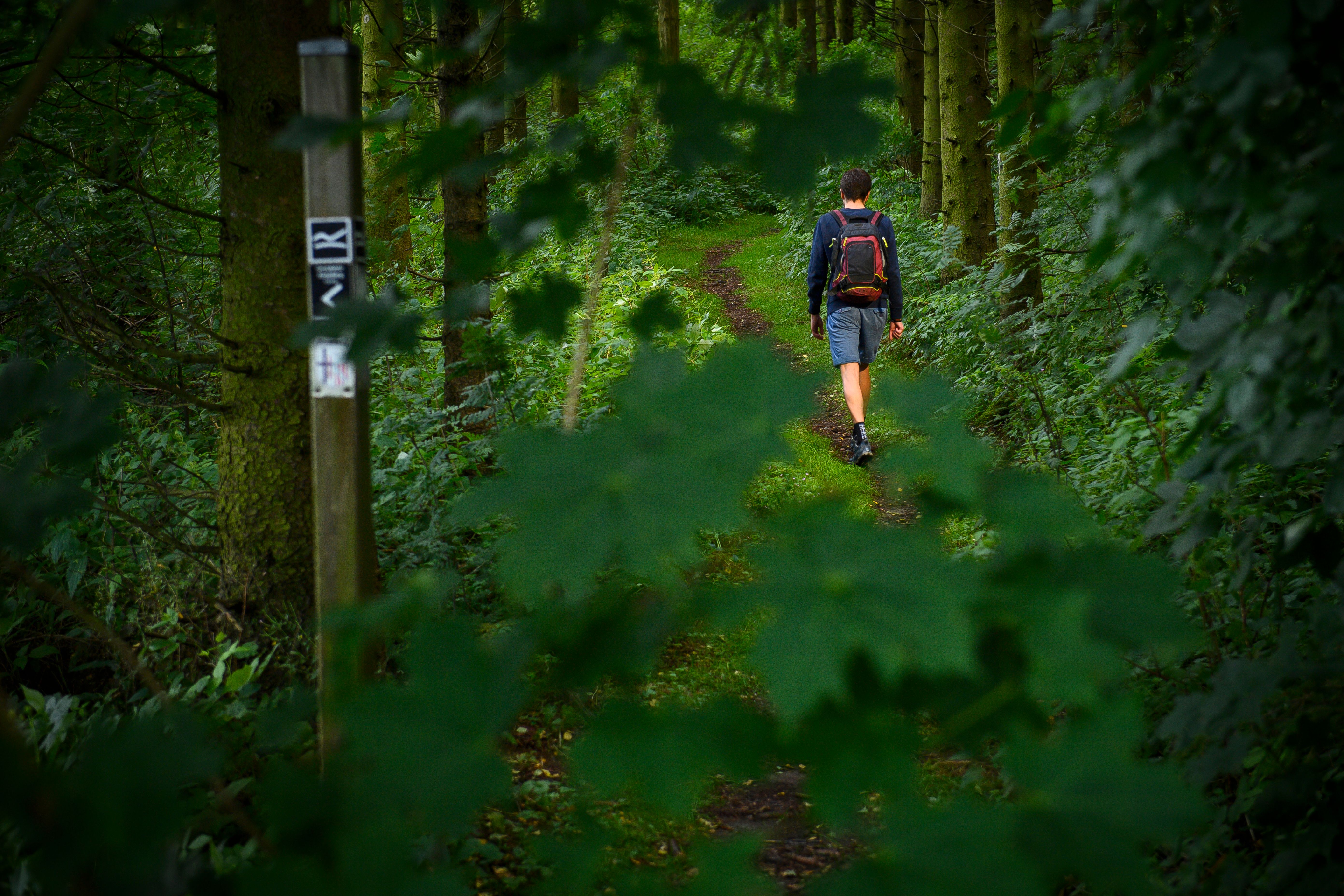 Ein Wanderer mit Rucksack geht auf einem schmalen Dorfpfad, umgeben von dichtem Grün und Bäumen.