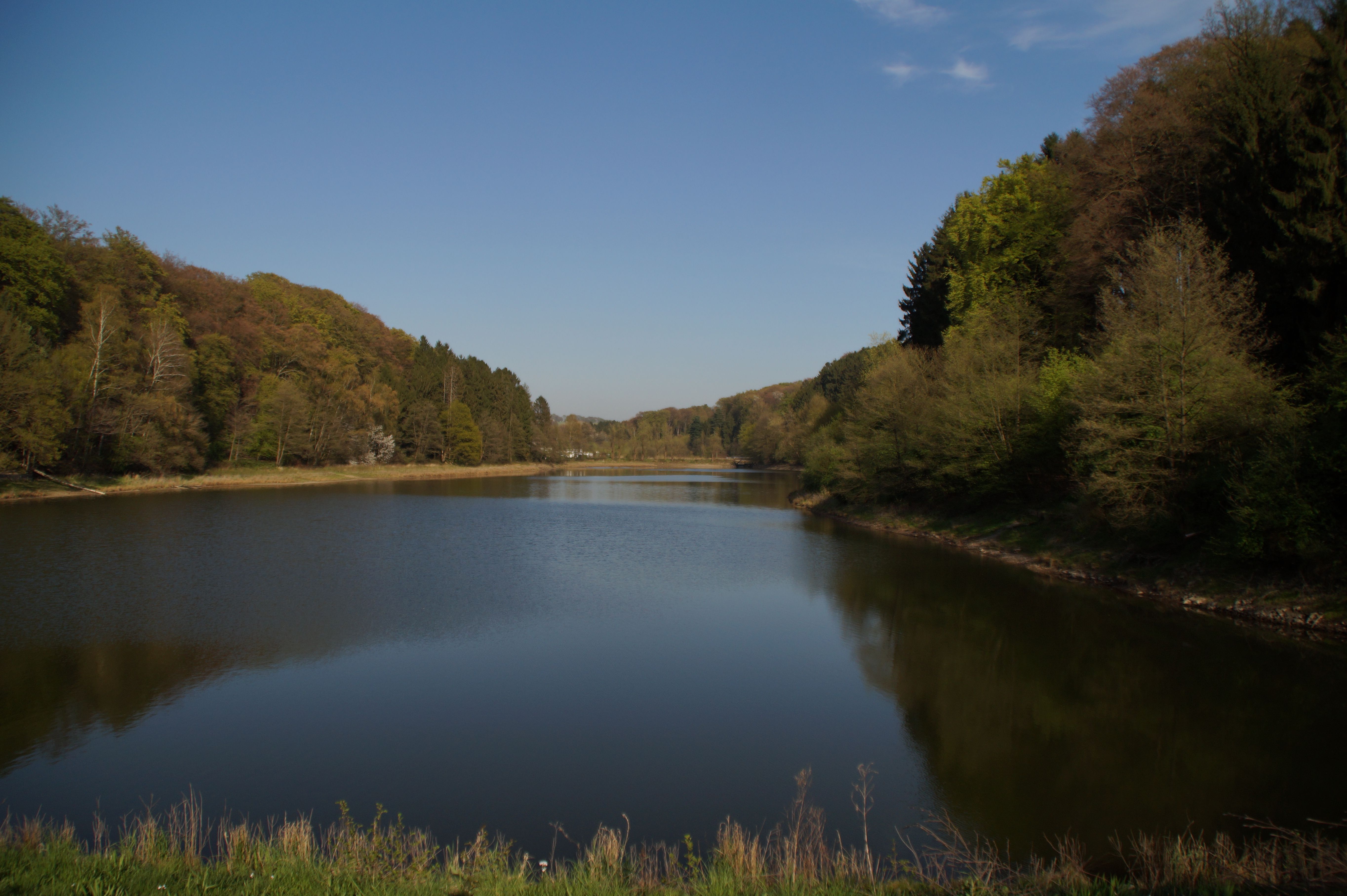 Ein ruhiger Stausee umgeben von bewaldeten Hügeln unter einem klaren blauen Himmel.