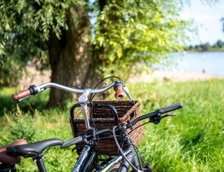Ein Fahrrad mit einem Korb am Lenker steht auf einer grünen Wiese vor einem Fluss