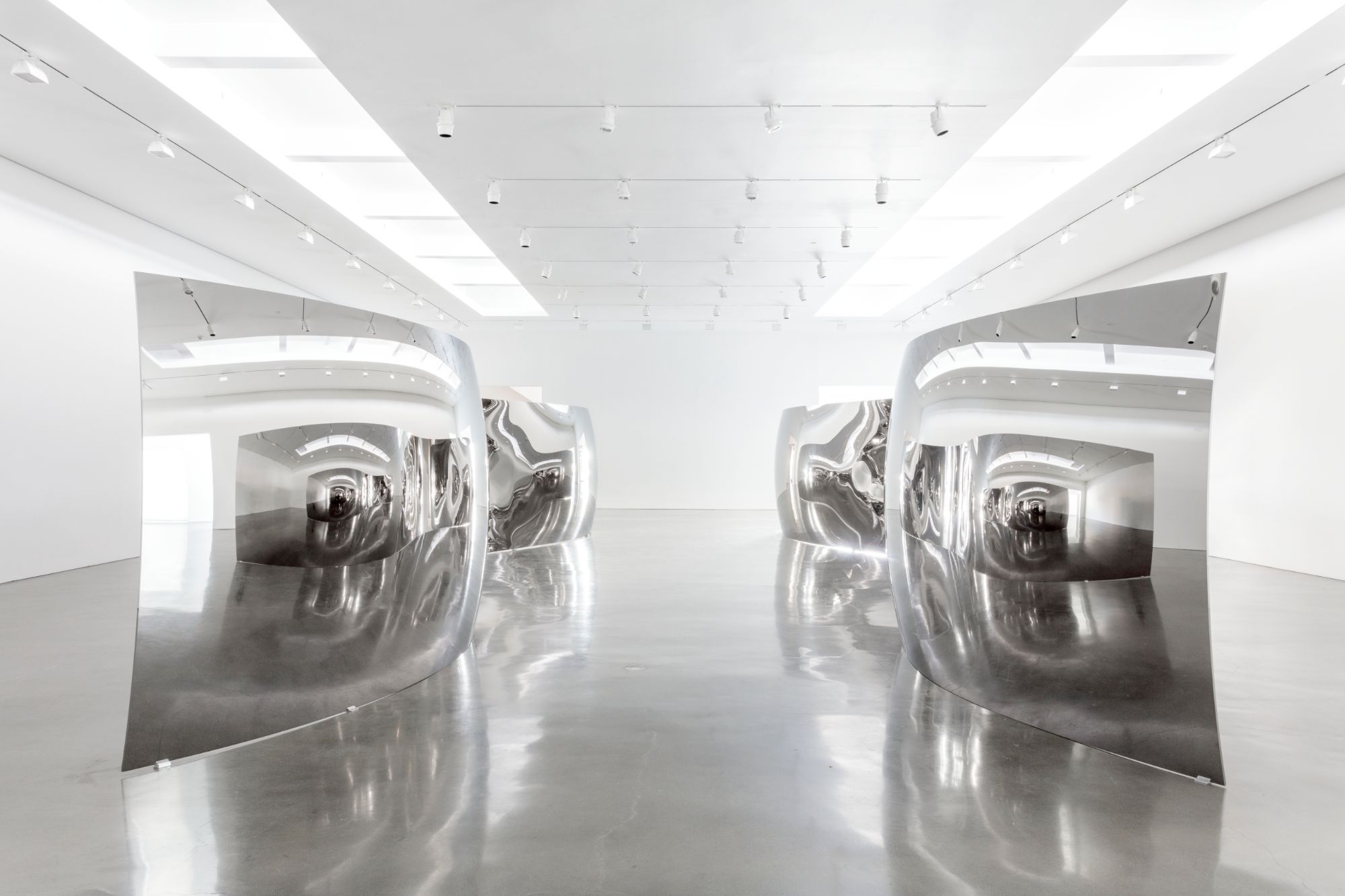 Zur Seite Anish Kapoor